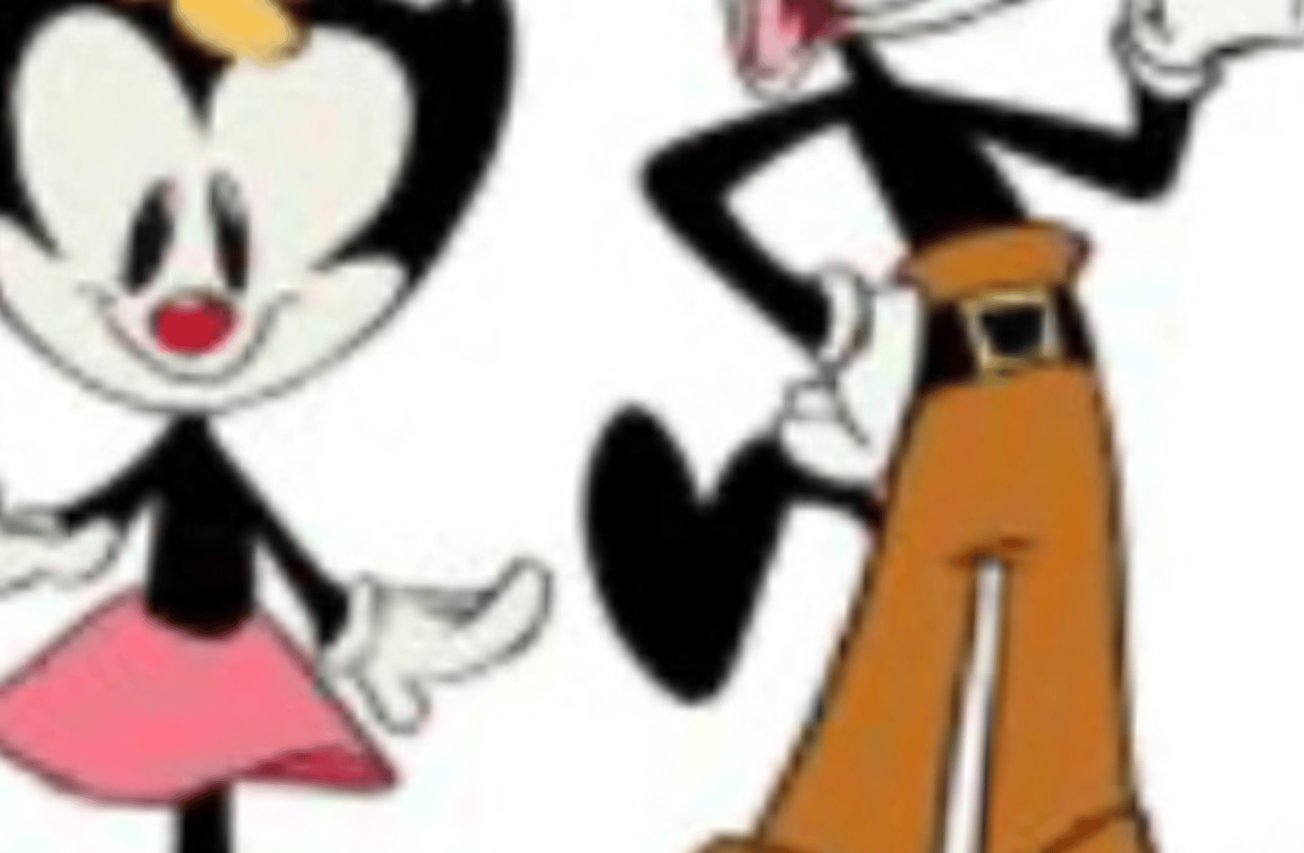 Dot Warner
