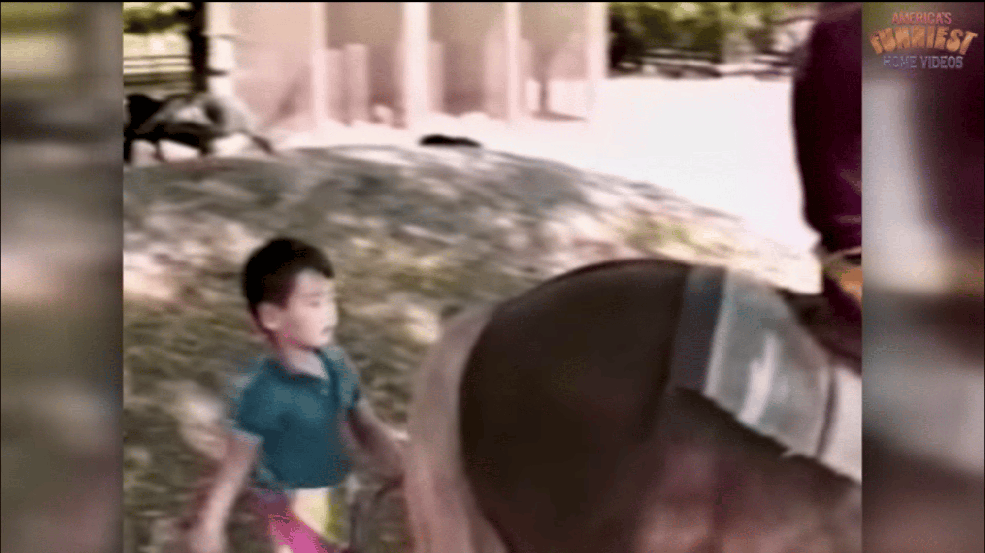 Boy
