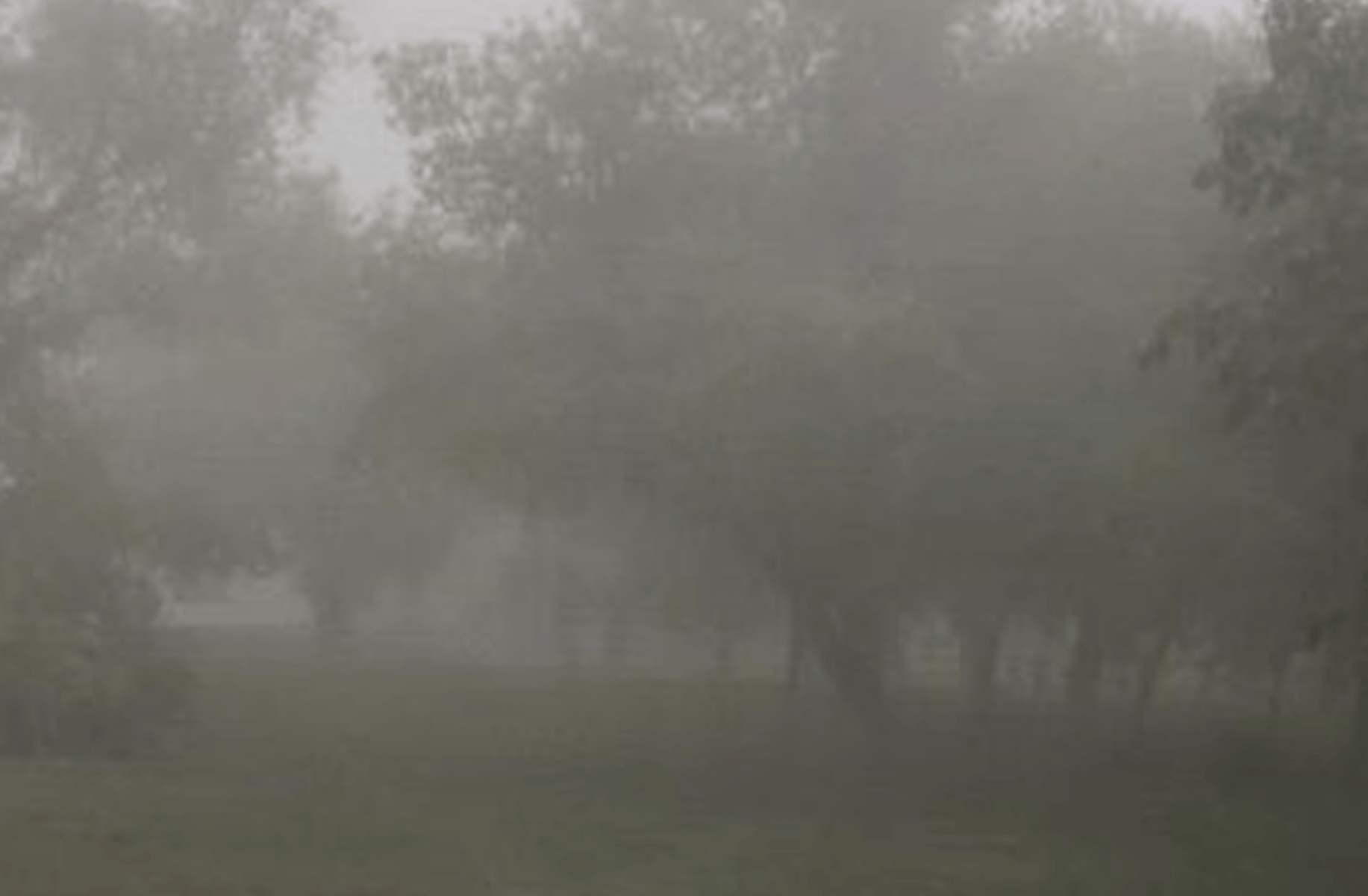 Quantum ghost dragon