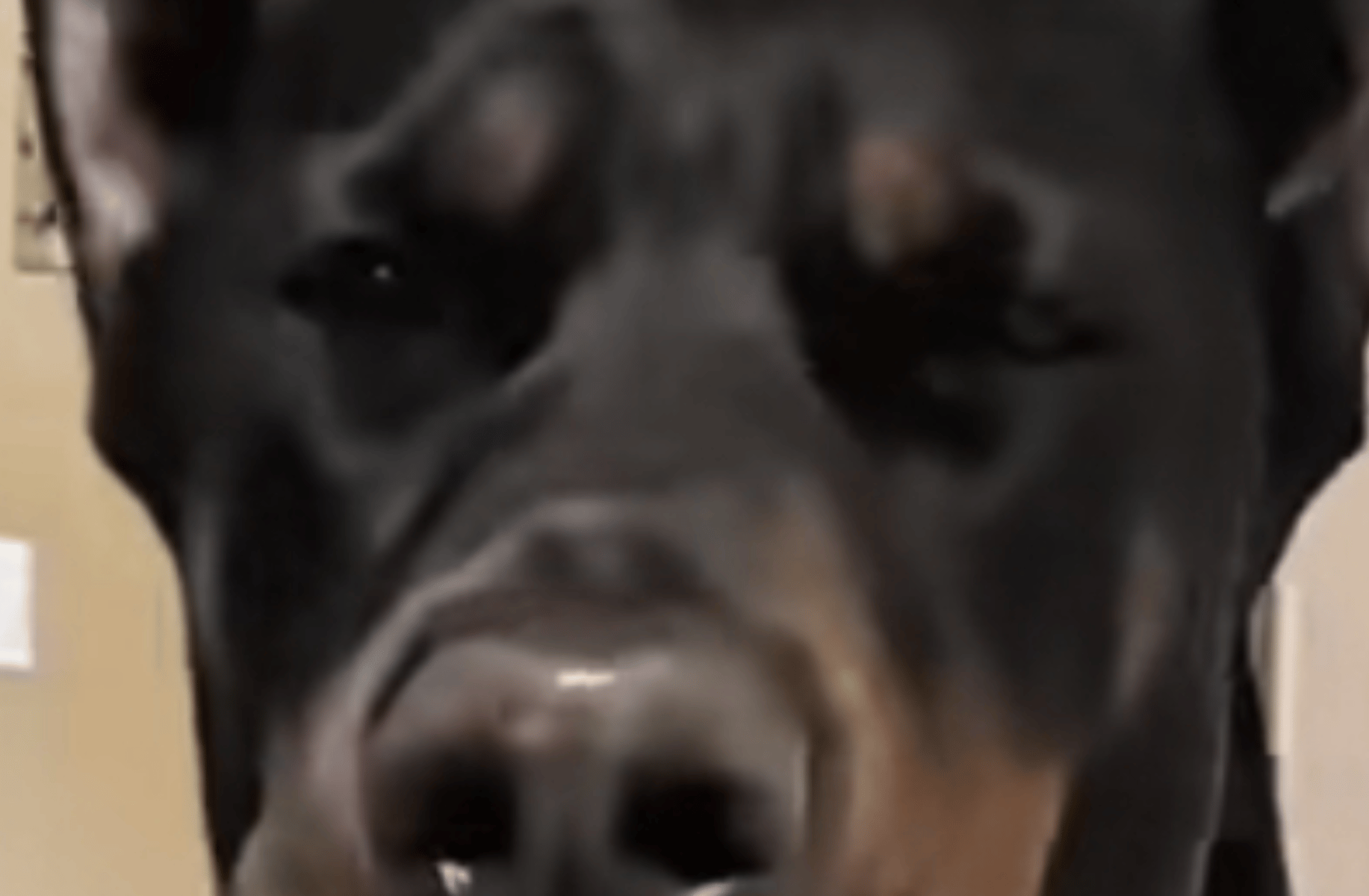 Ben