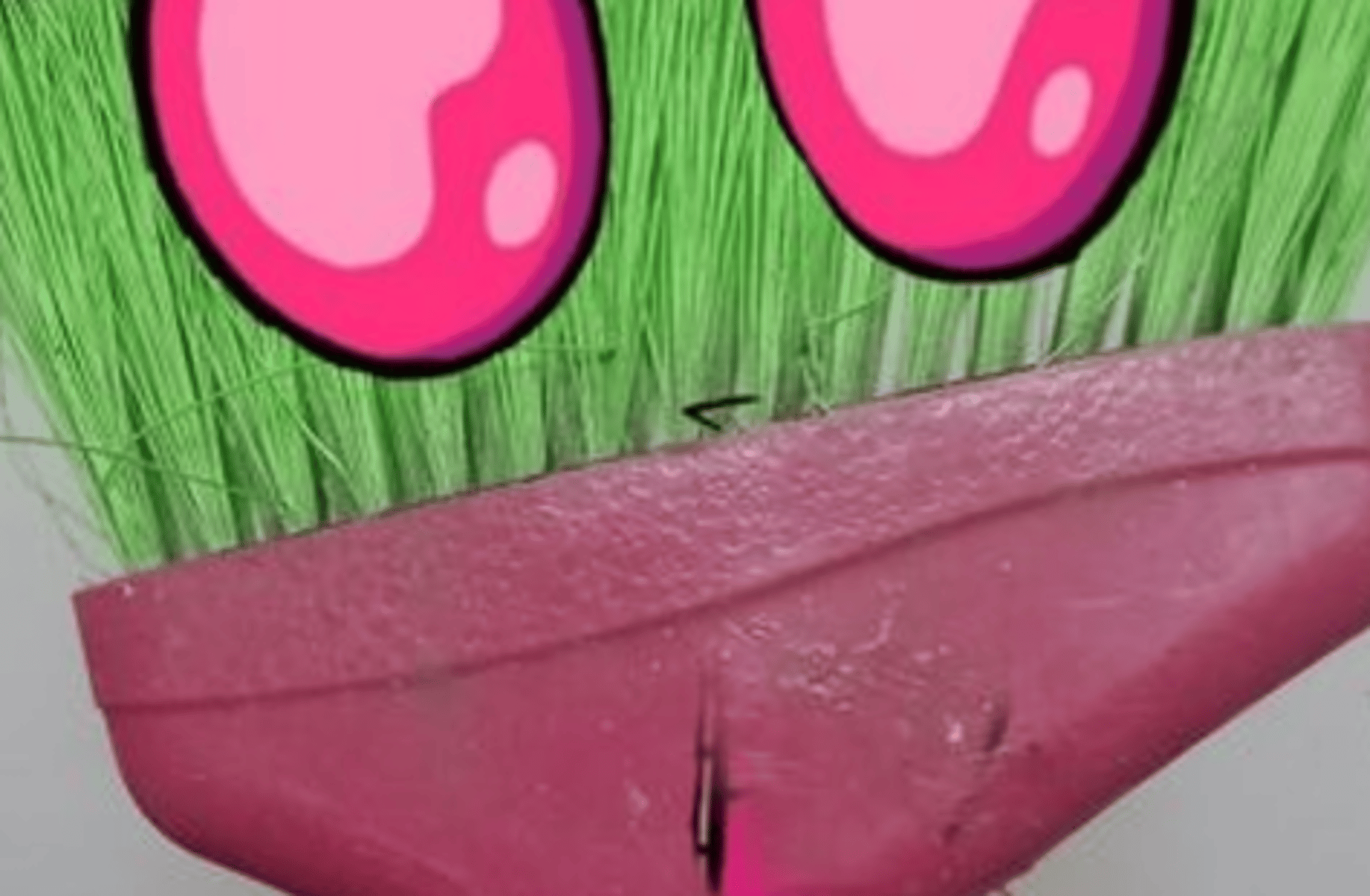 Zim