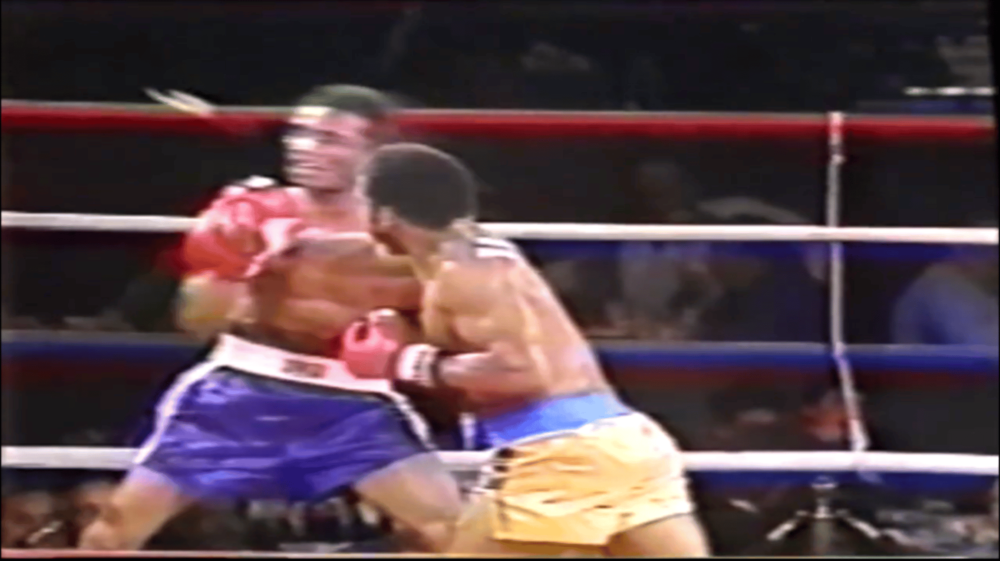Larry Holmes vs. Gerry Co