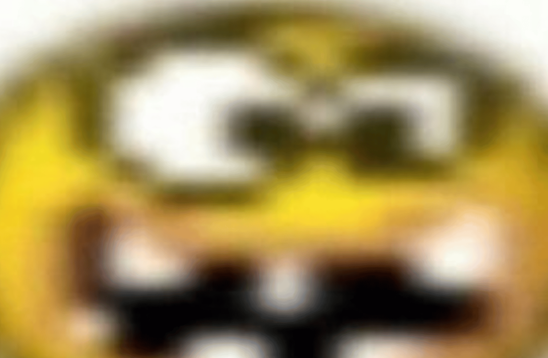 Goch Gooper