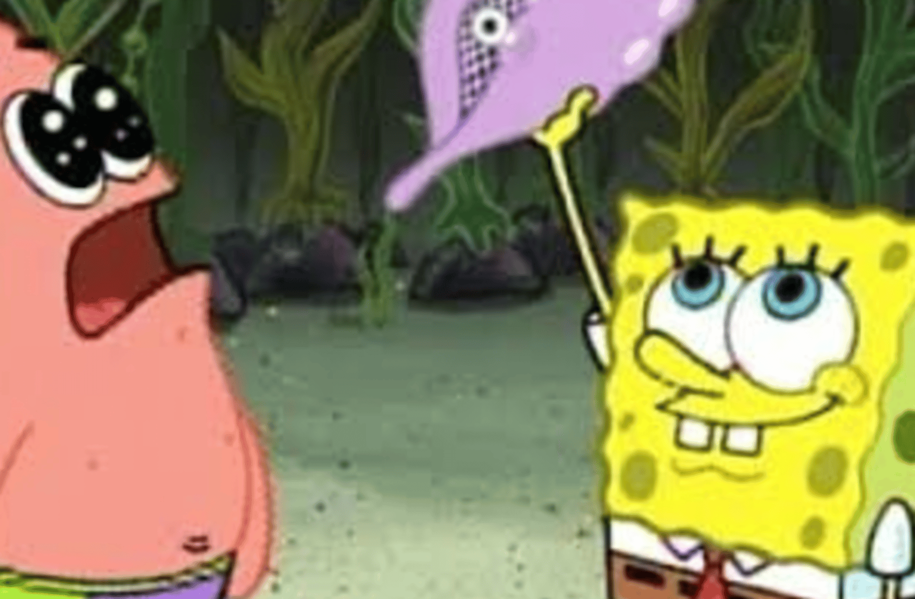 Magic conch shell