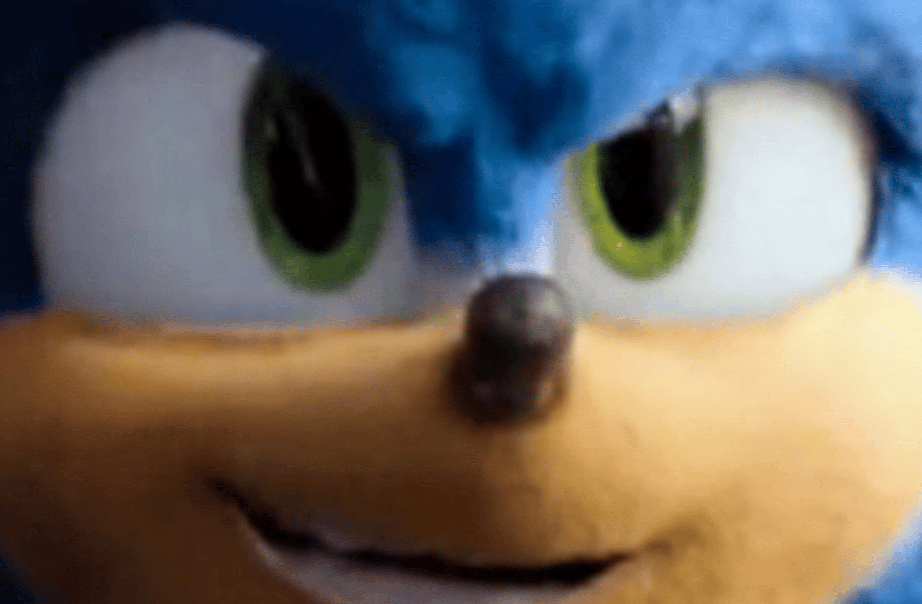 Fluffy Sonic