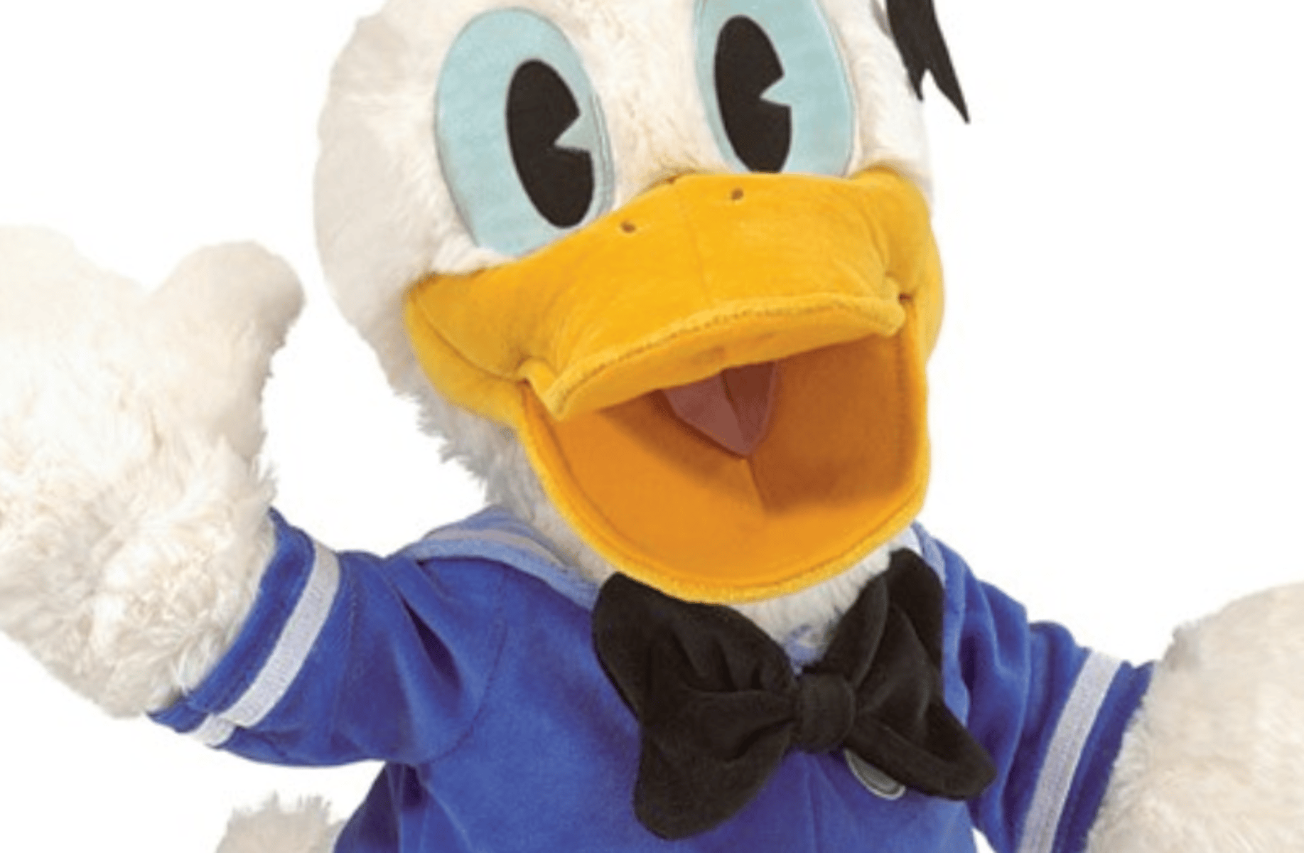 Donald Duck
