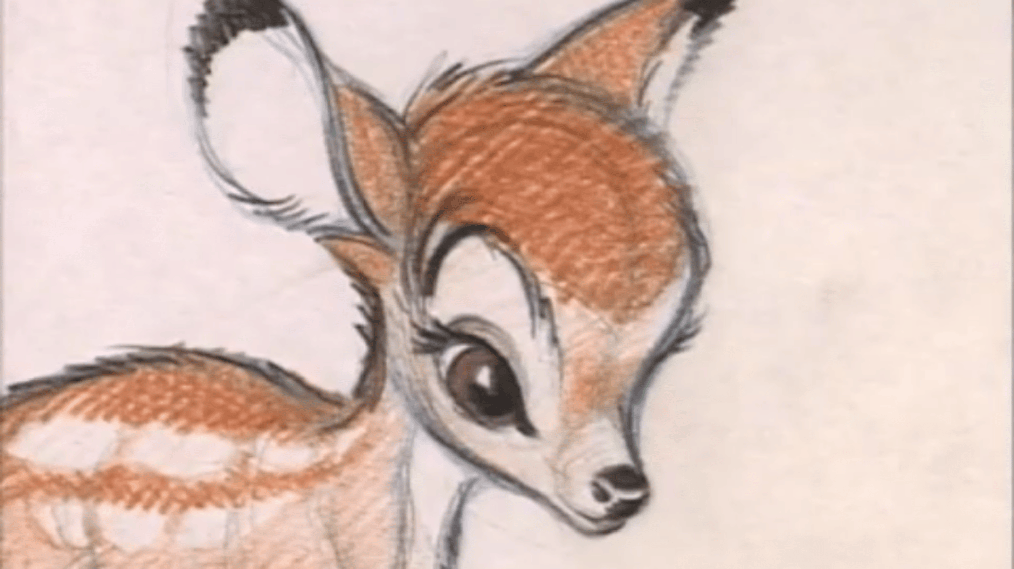 Bambi