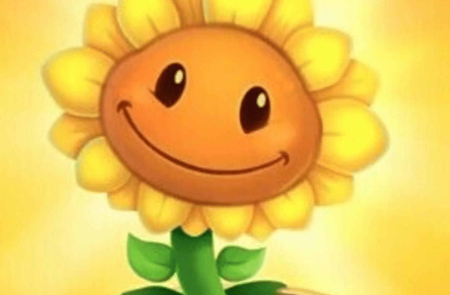 Sunflower pvz