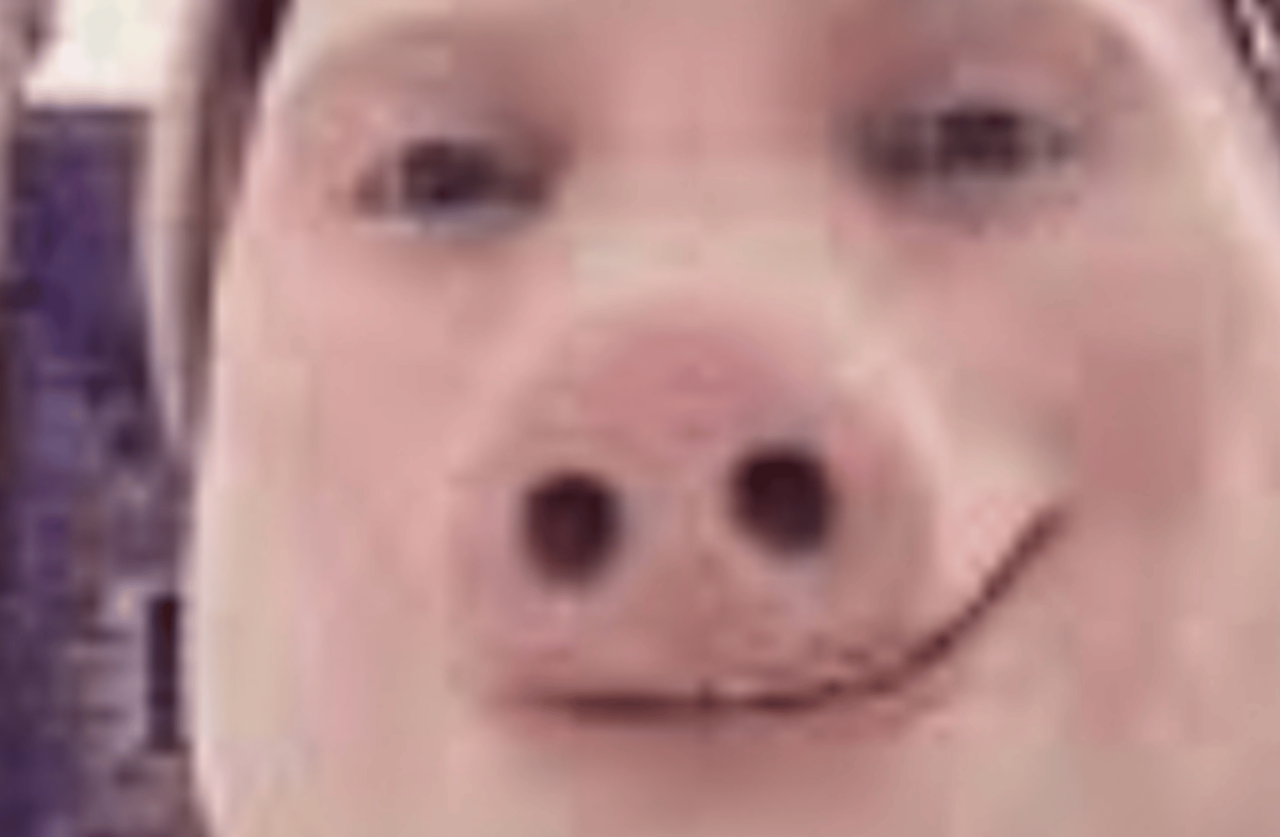 jonh pork