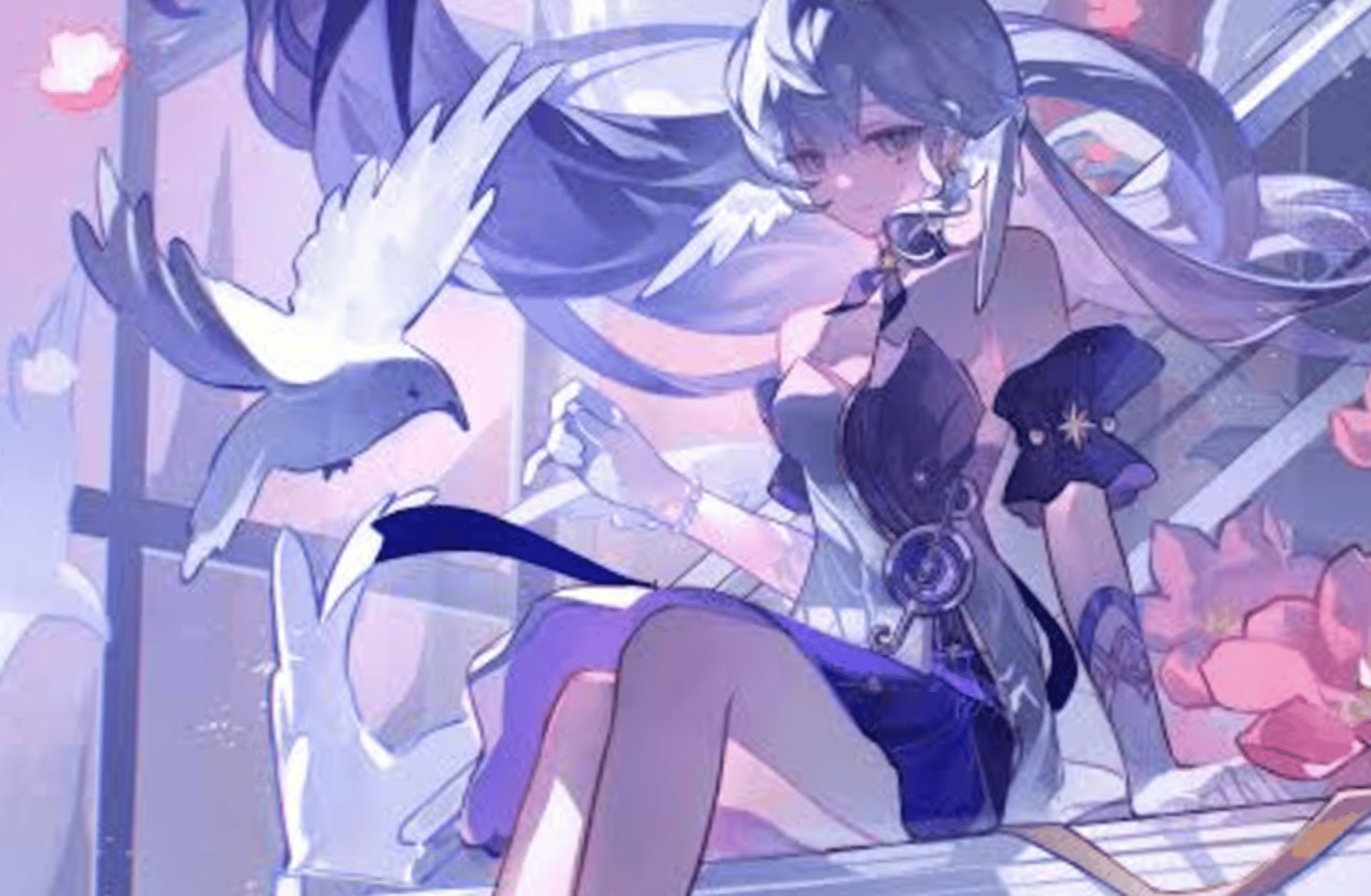 Robin