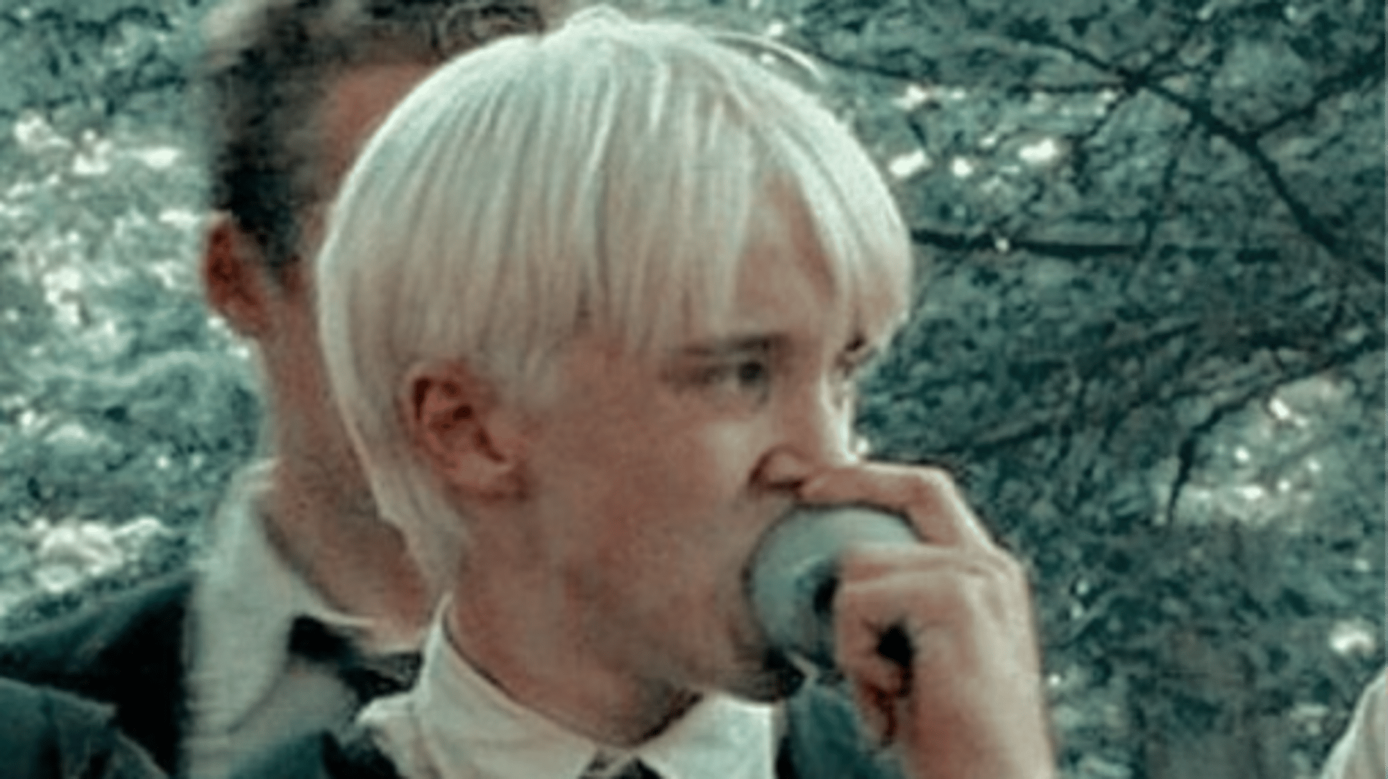 Draco malfoy x y/n