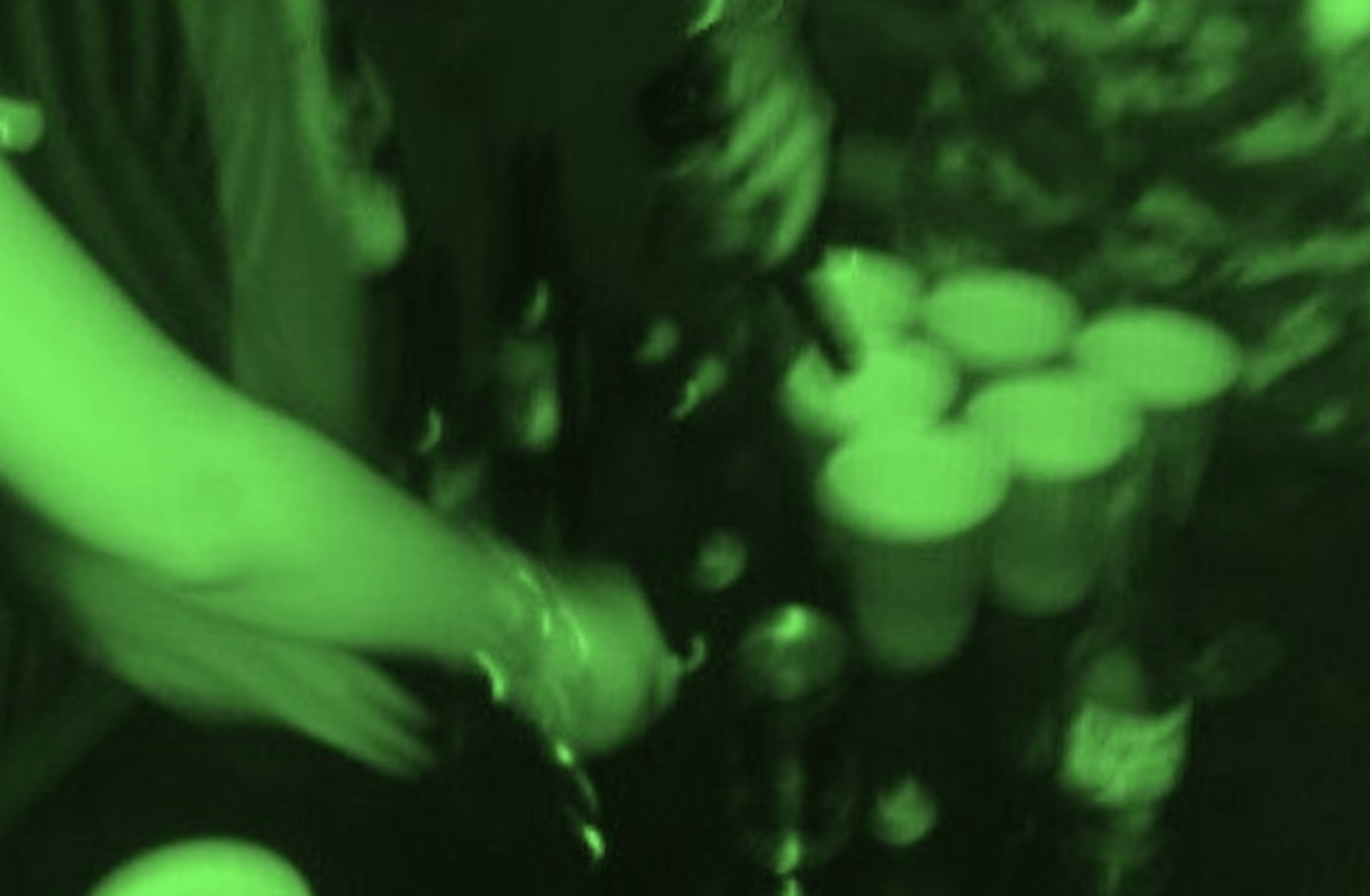 slytherin party