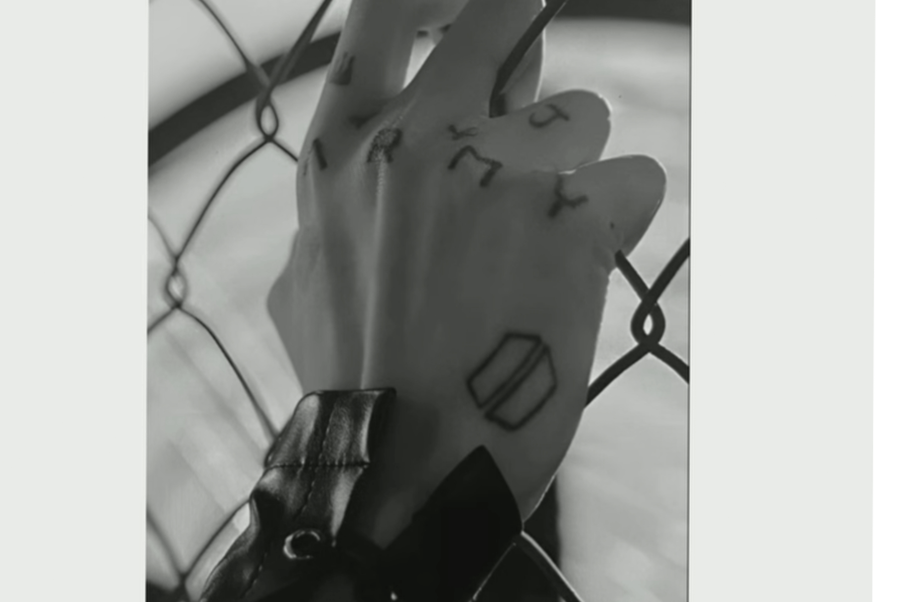 Jeon jungkook