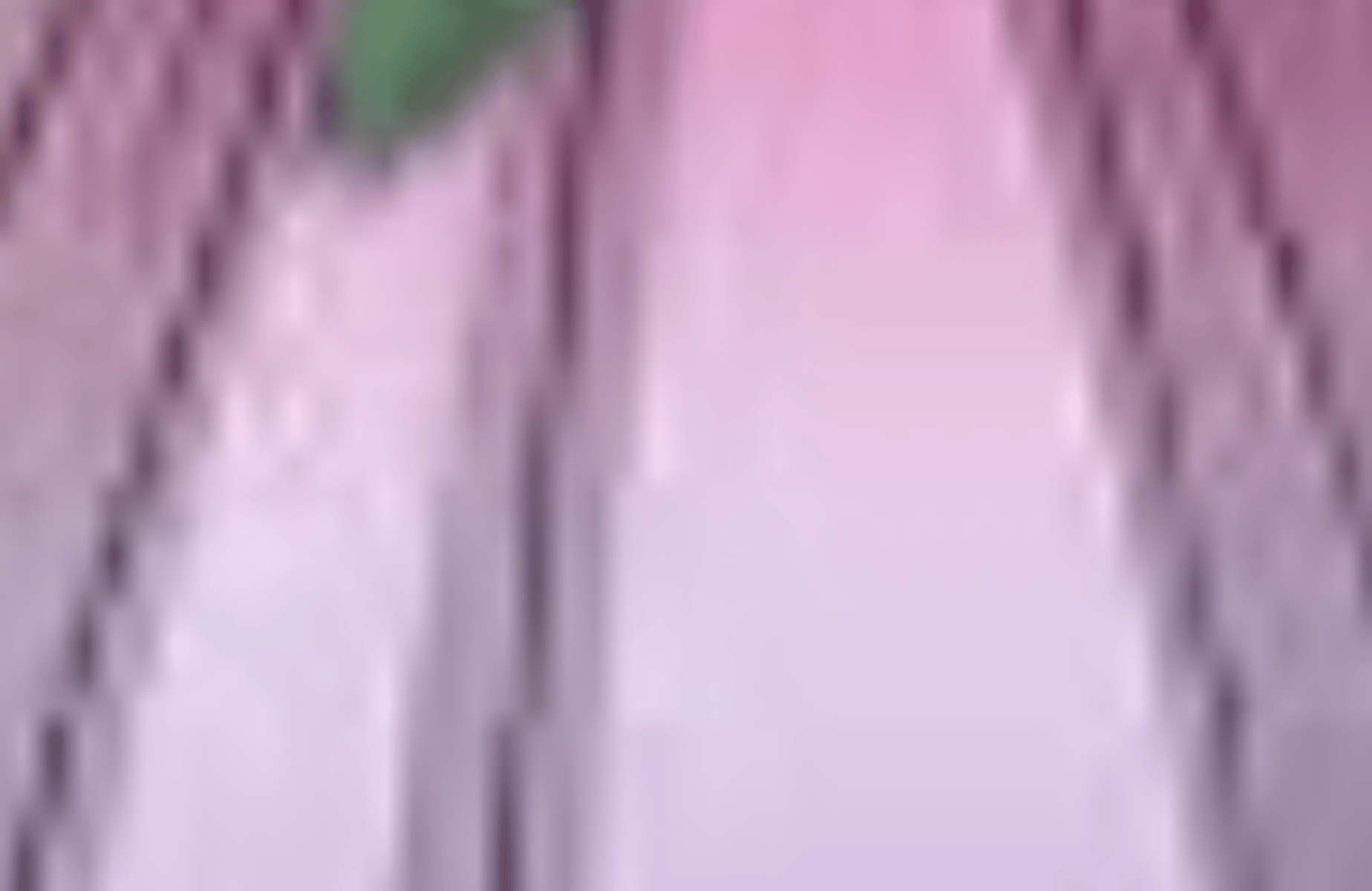 Sayaka Maizono
