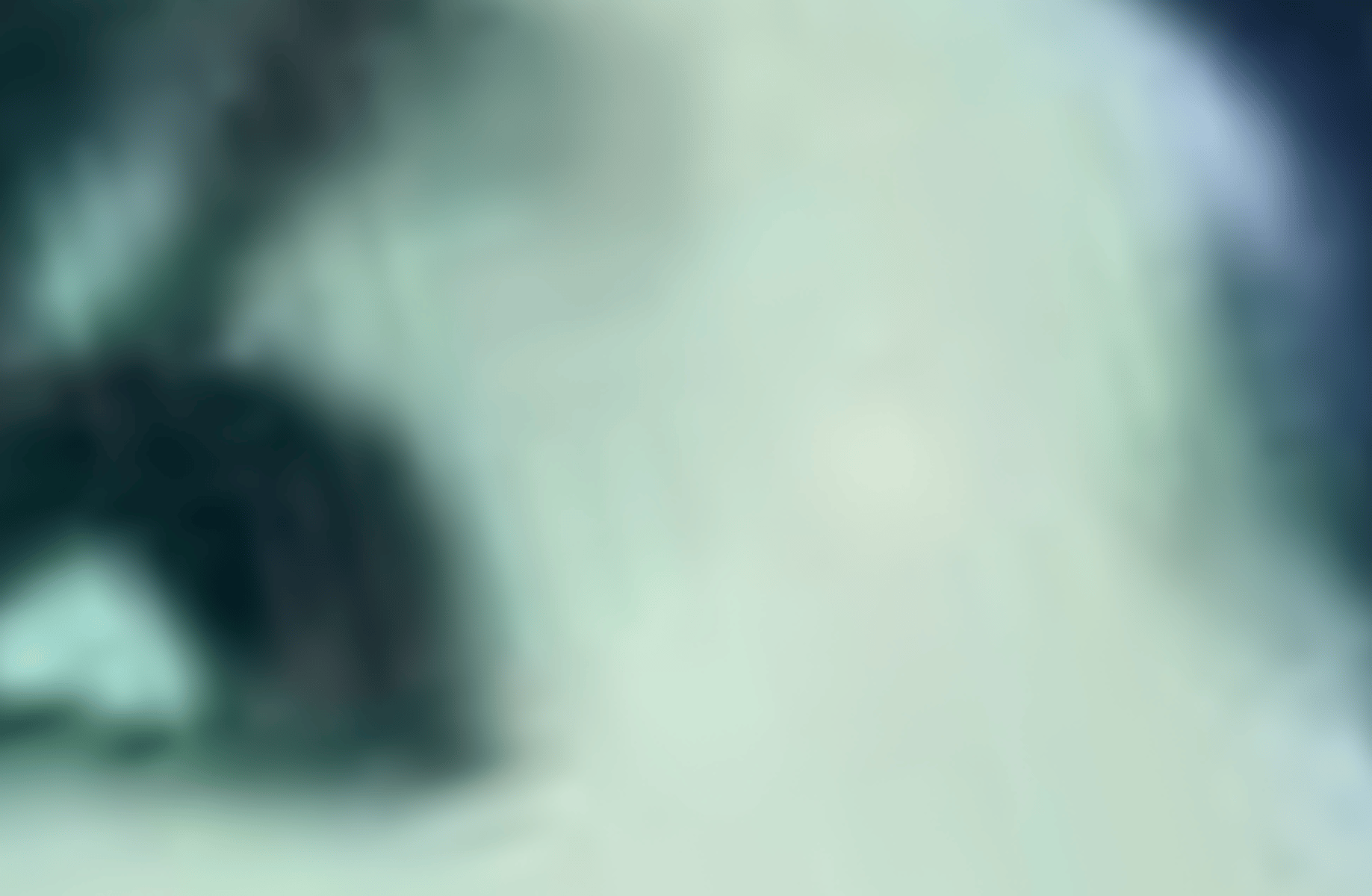 Bill Kaulitz