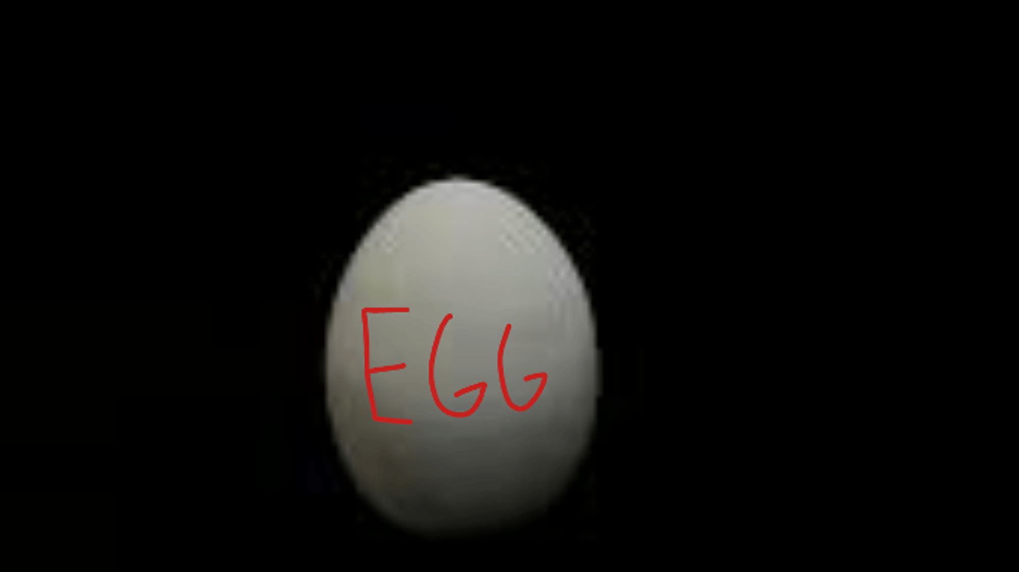 egg