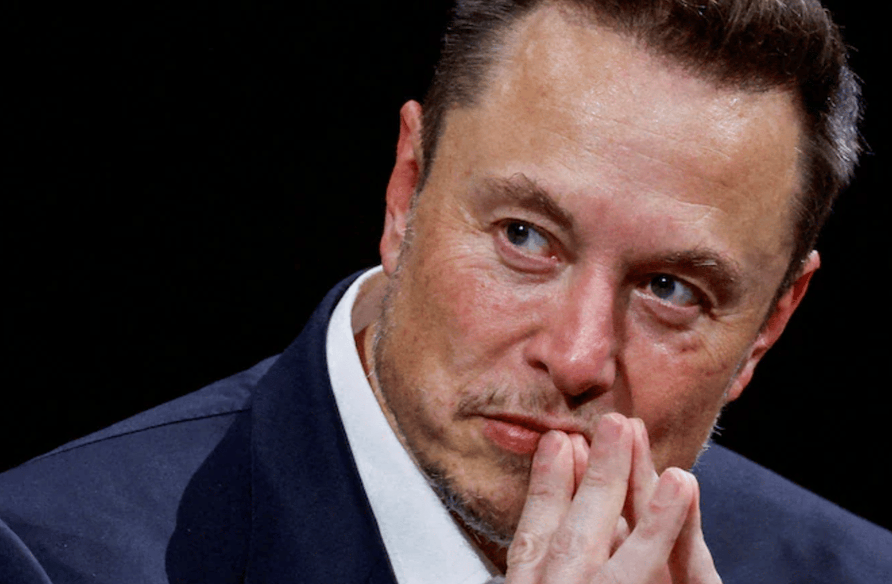 Elon Musk (With Voice)