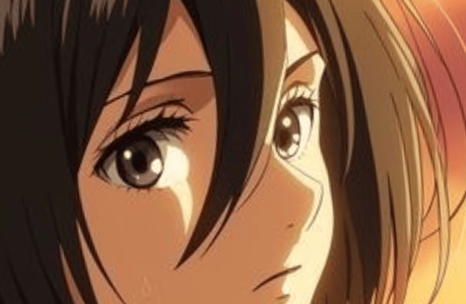 Mikasa ackermen