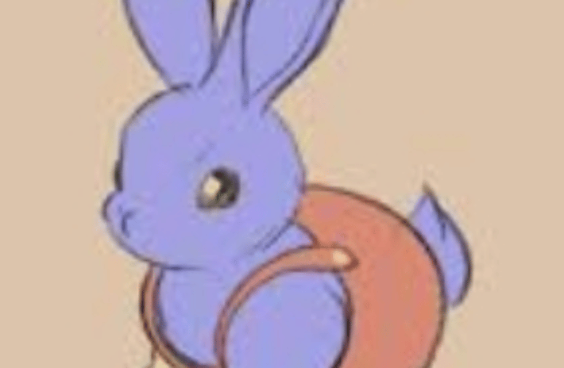 Jax (Adorable bunny)