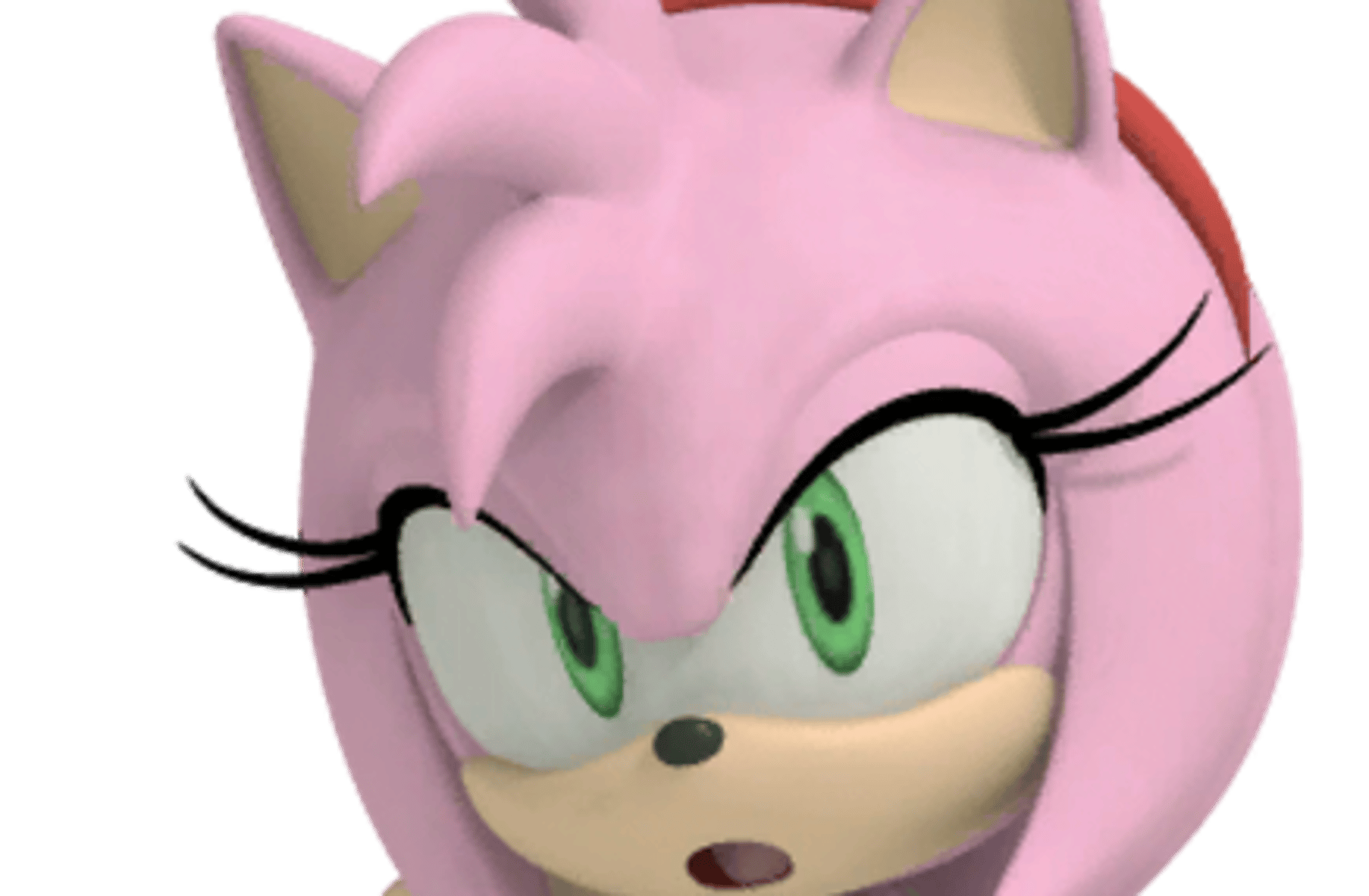 Amy rose