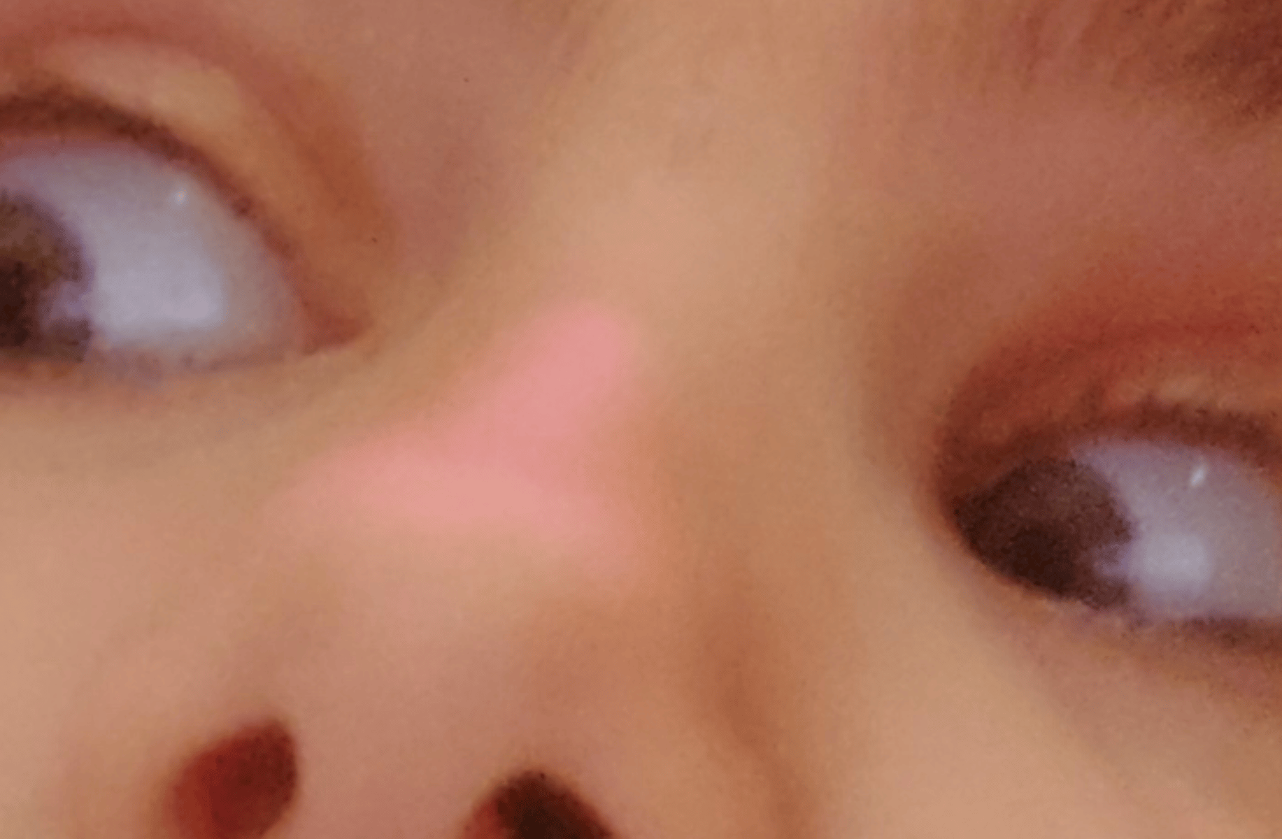 Stella