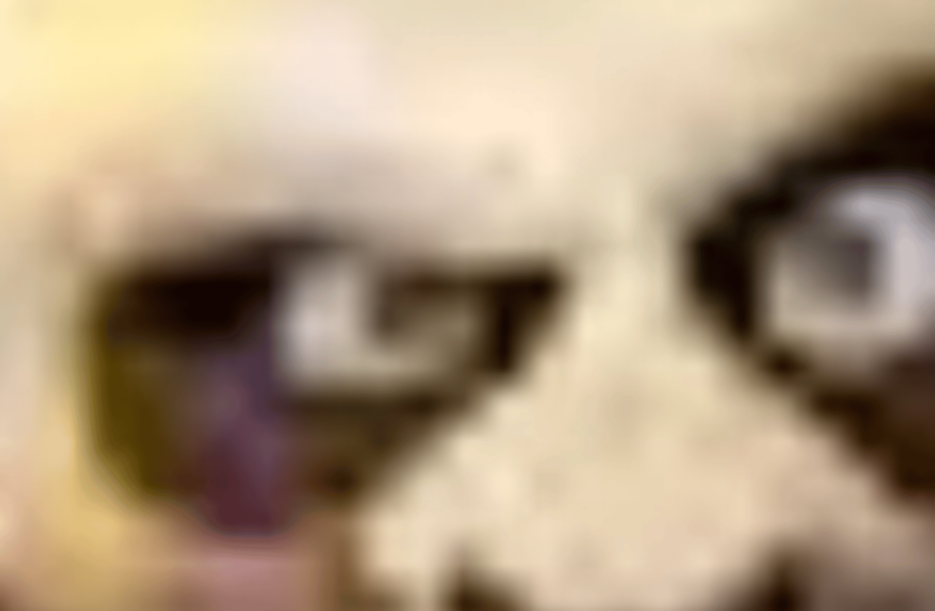 Isagi