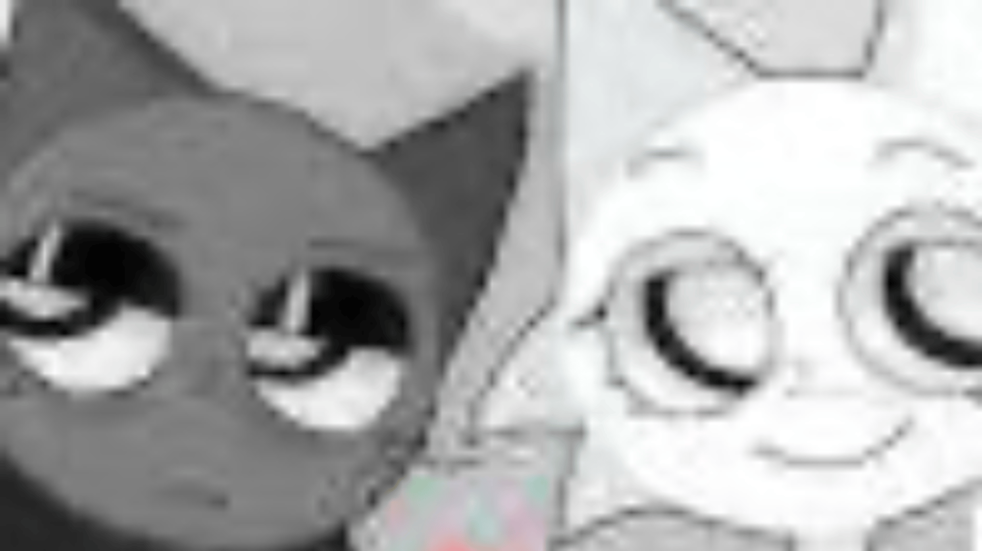 Gray and wenda