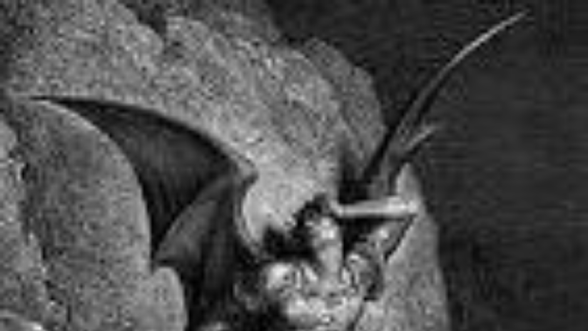 Satanas