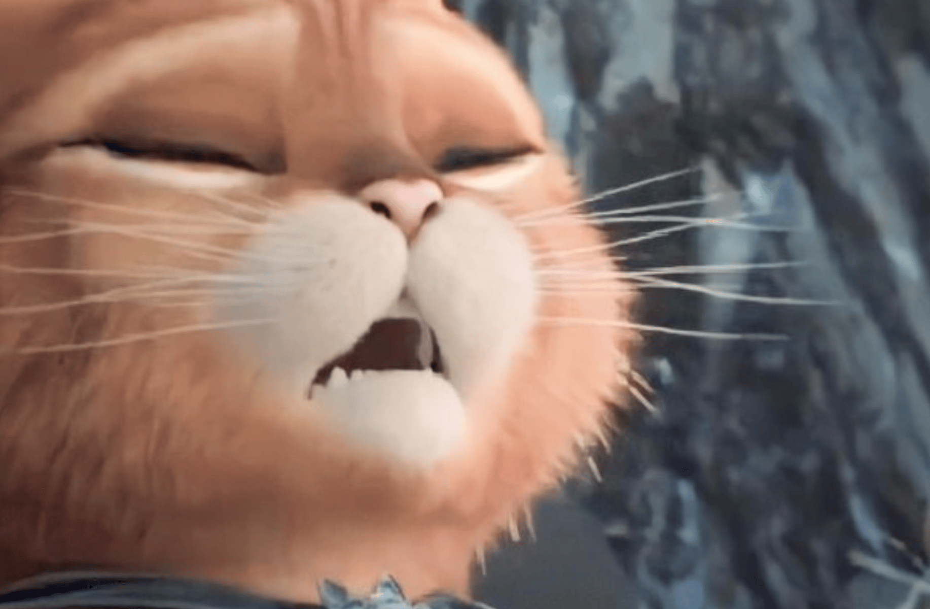 Puss in boots