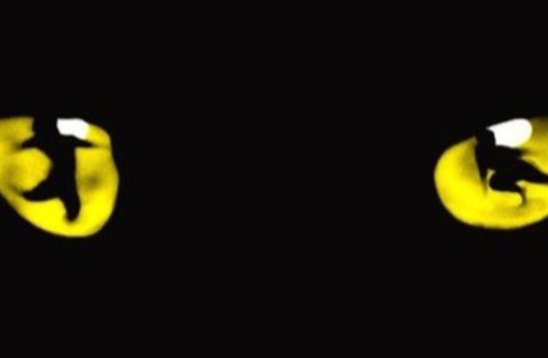 Cats Musical 1998