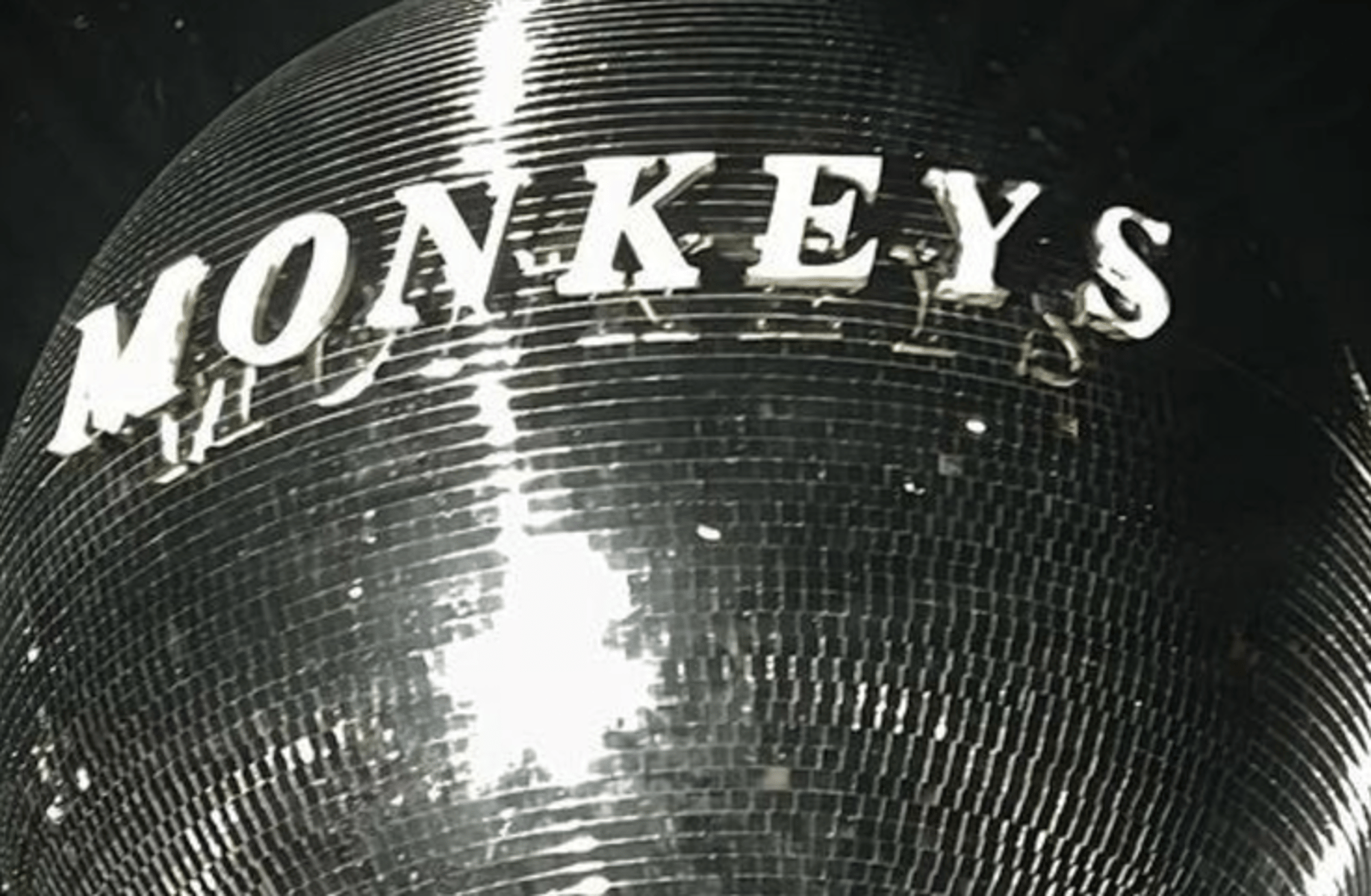 Alex Turner