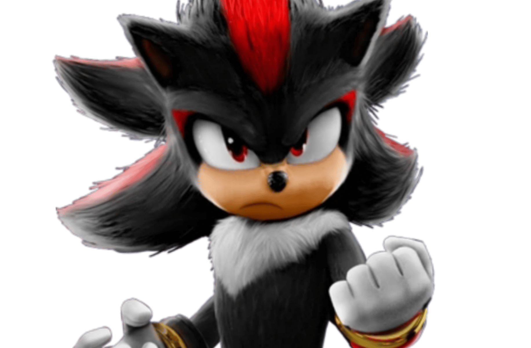 Shadow the hedhehog