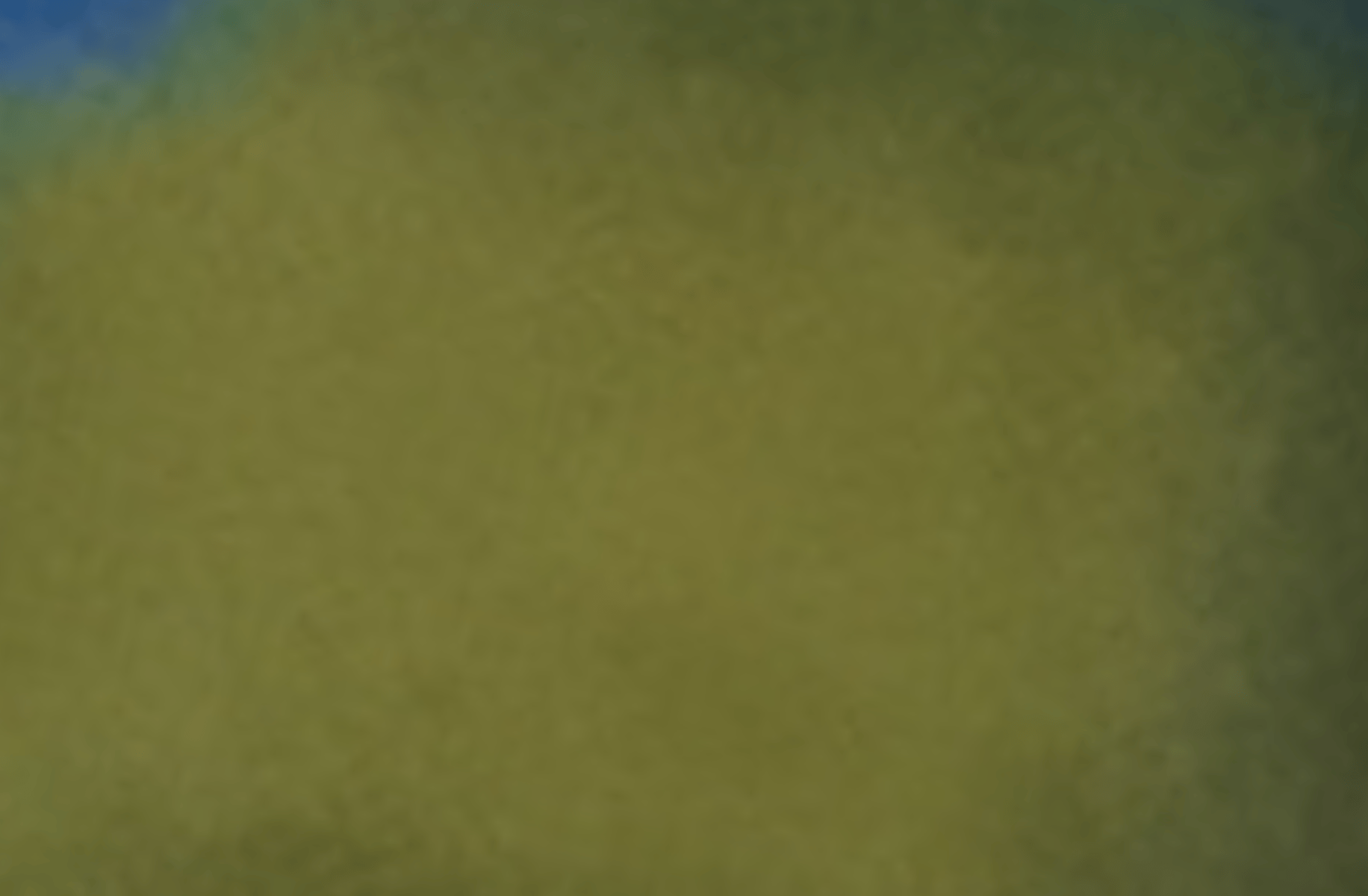 anvatpupsik2018@gmail.com