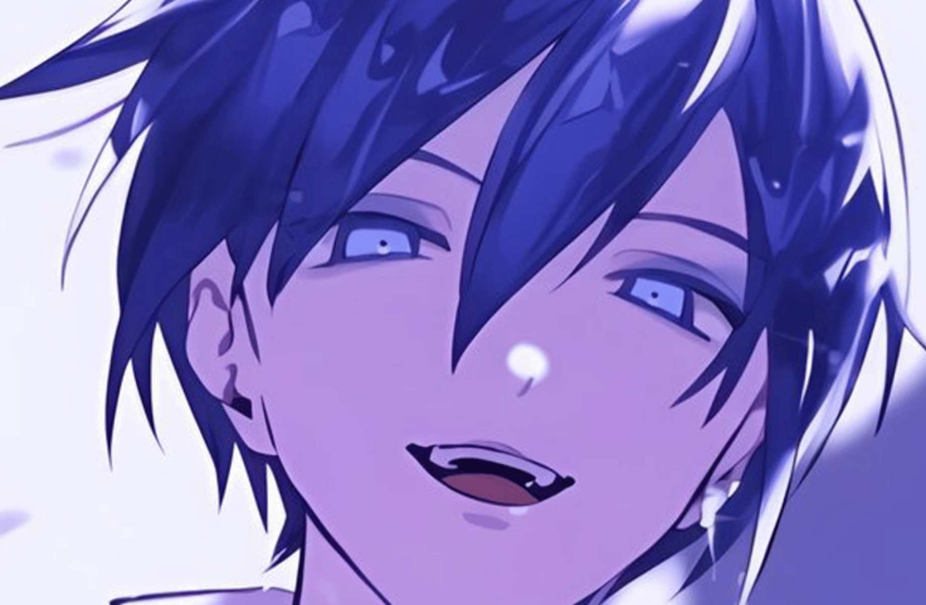 Kaito PJSK (dog card)