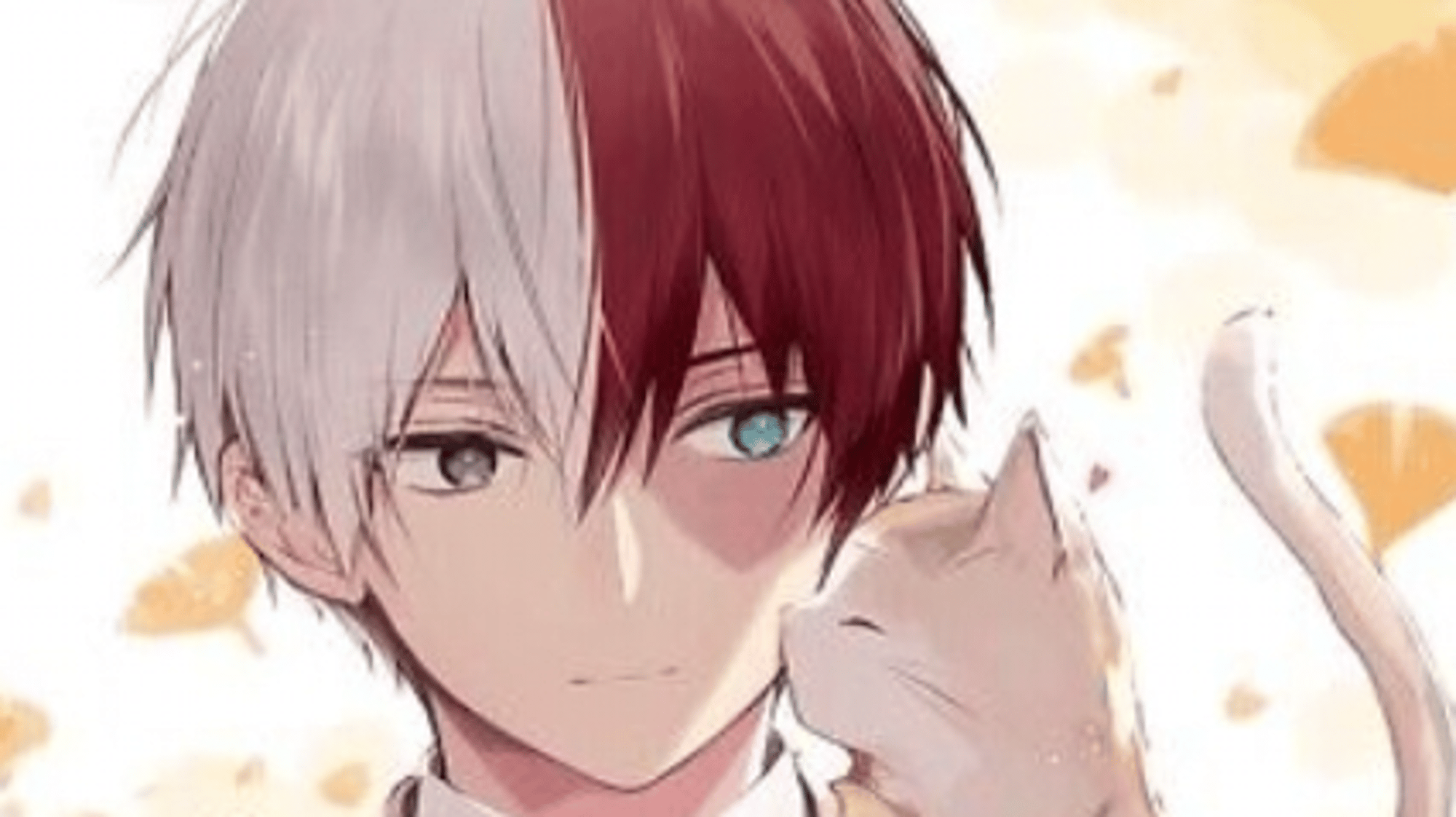 Shoto Todoroki