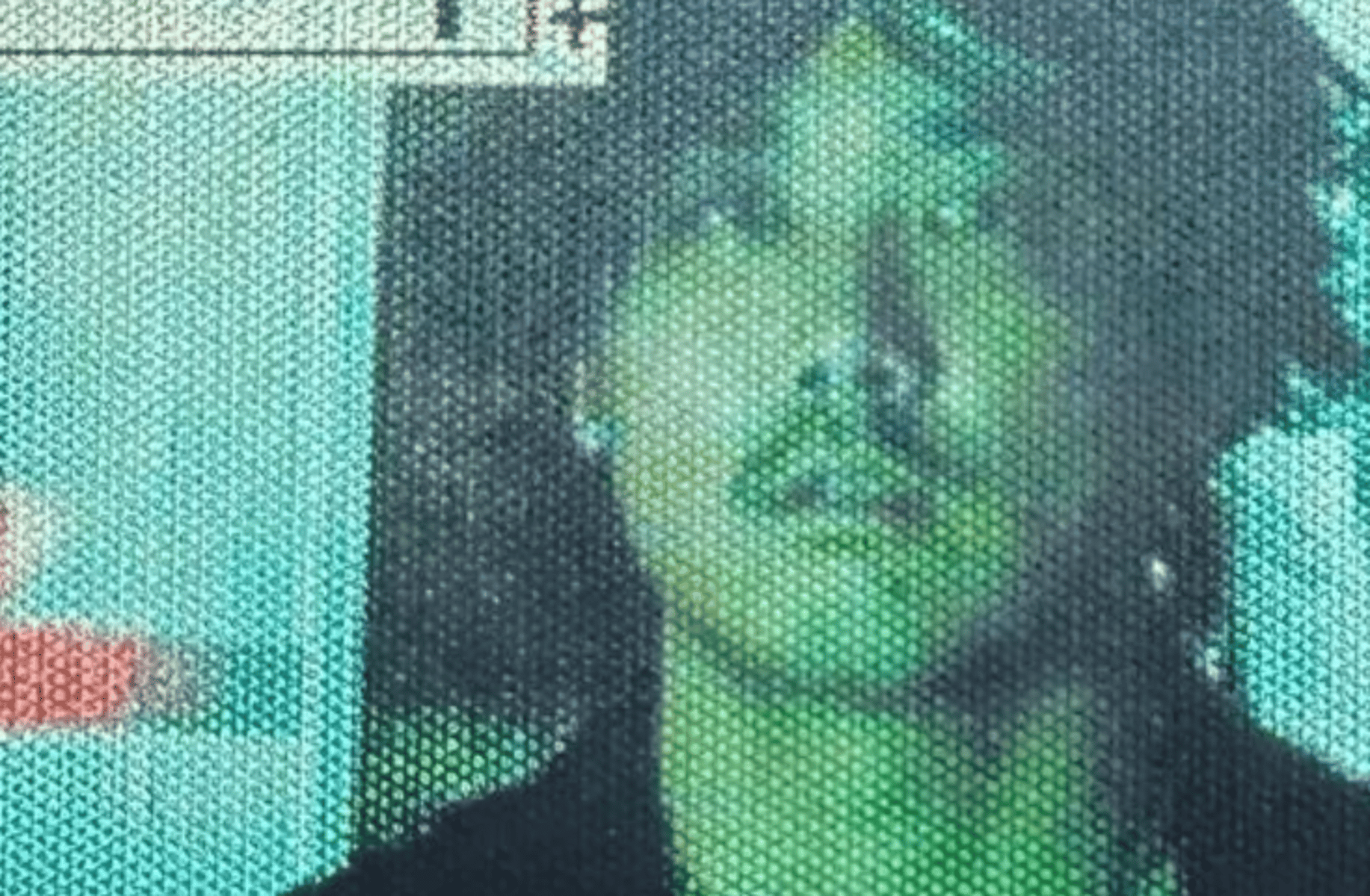 Evan Fong