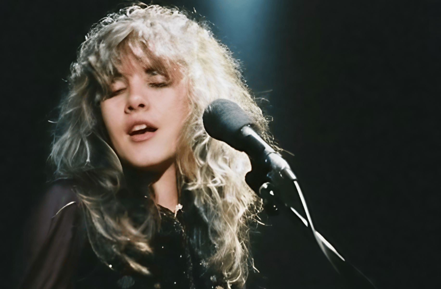Stevie Nicks
