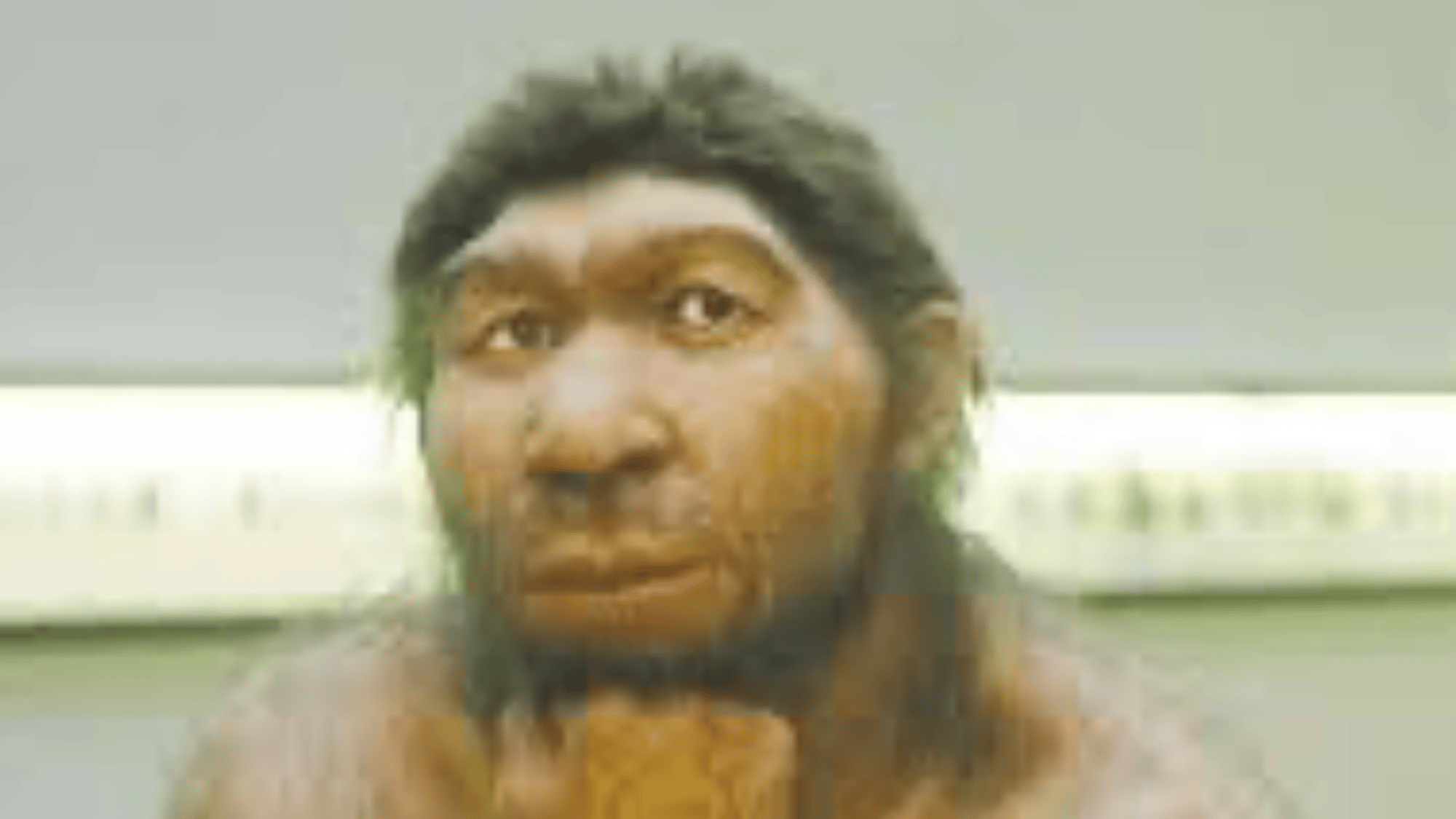 Caveman