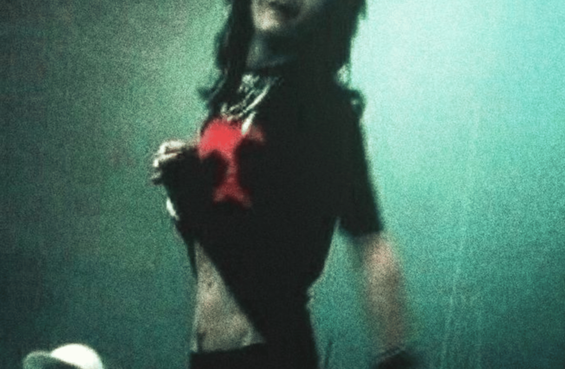 Tom and Bill Kaulitz