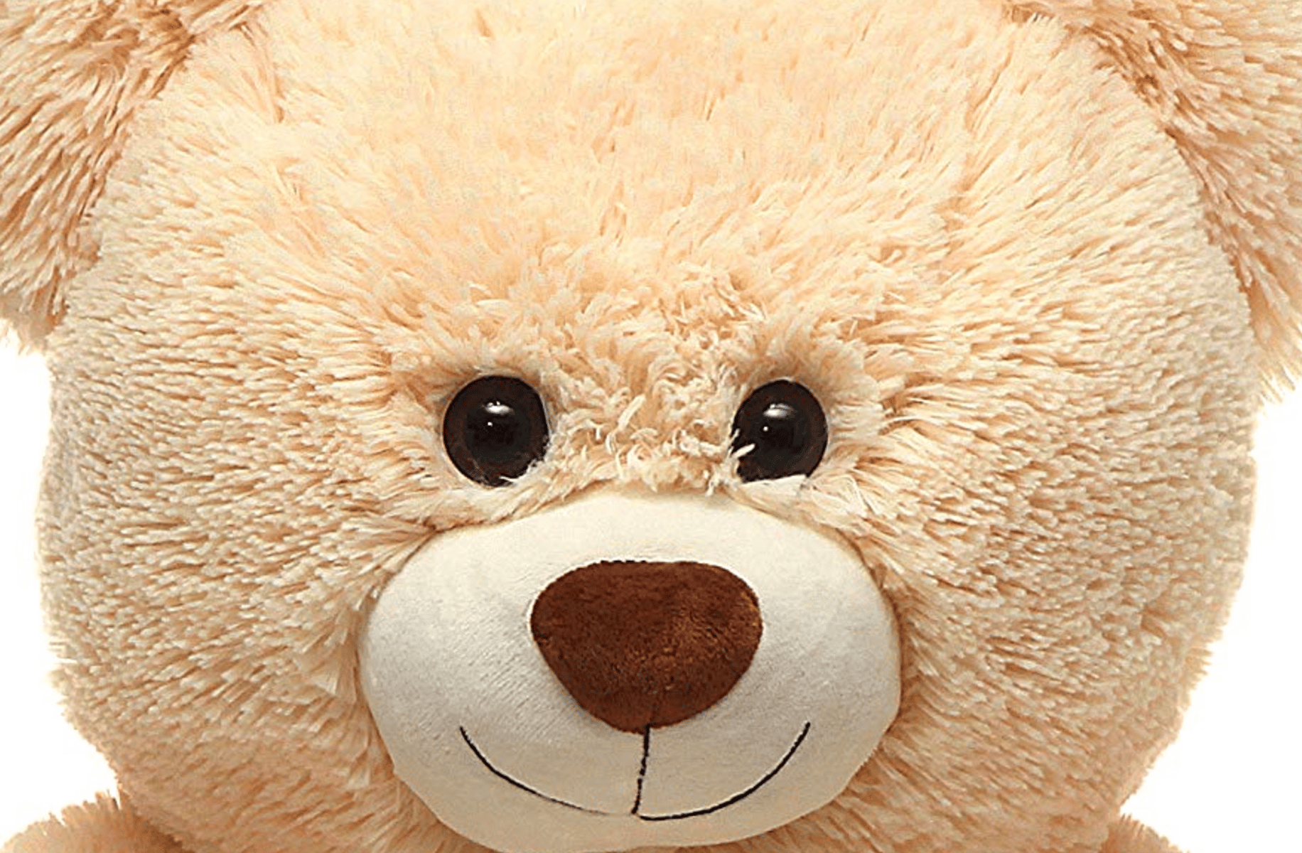 Stuffed Bear