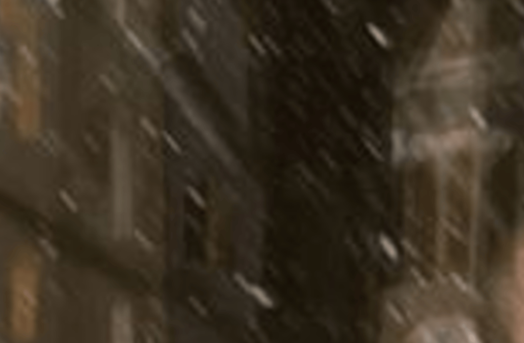 Percy Weasley
