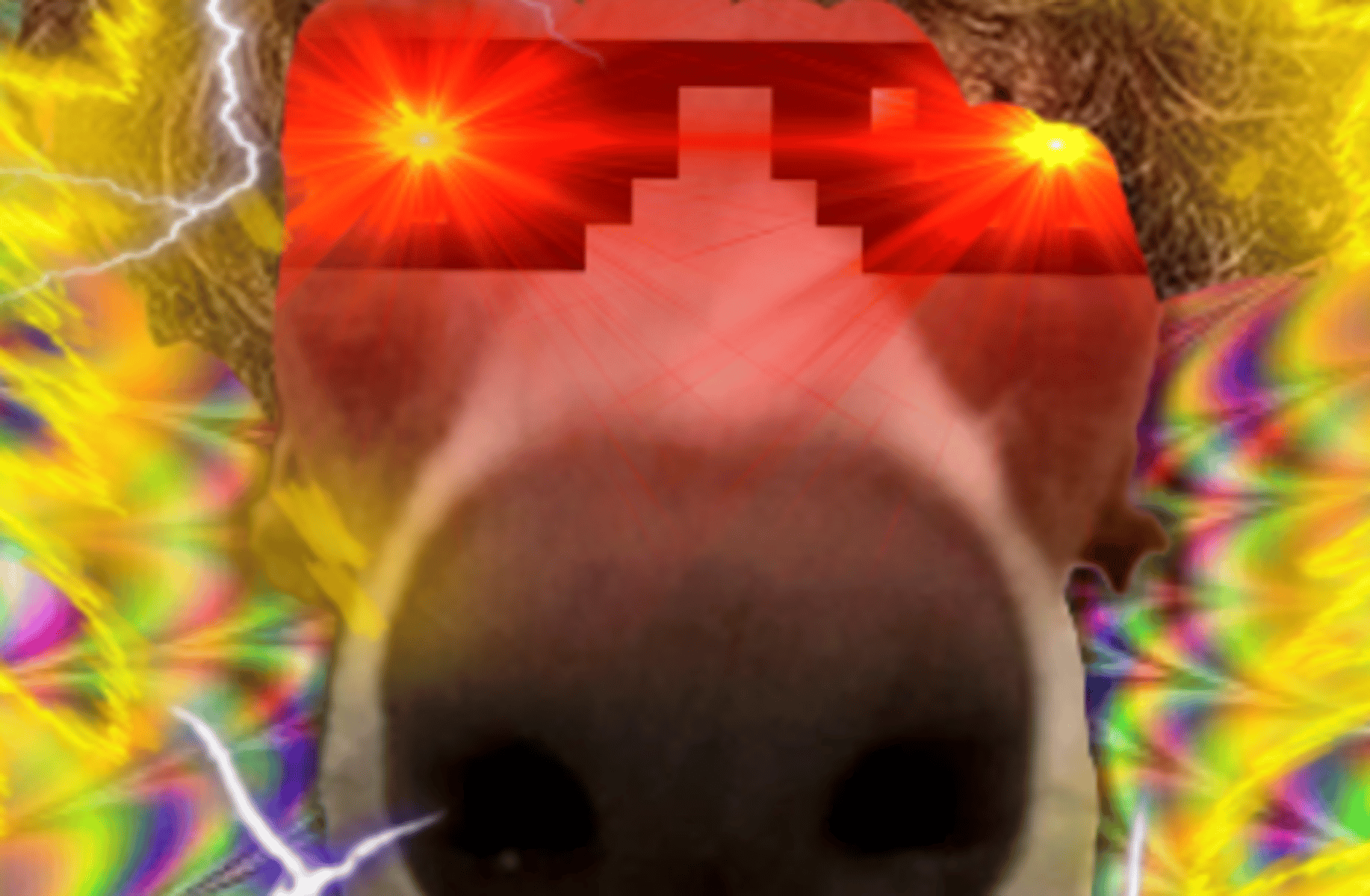 YouTube profile