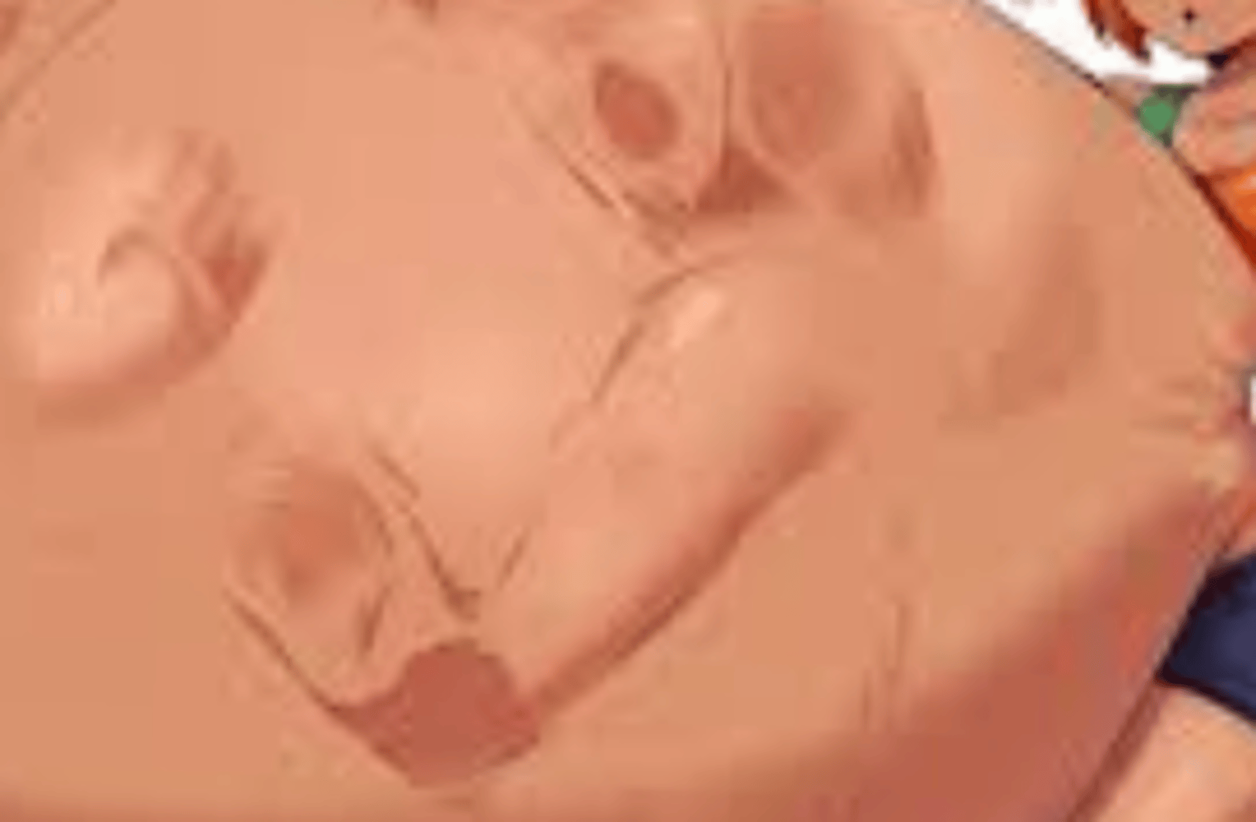 Amber Vore1