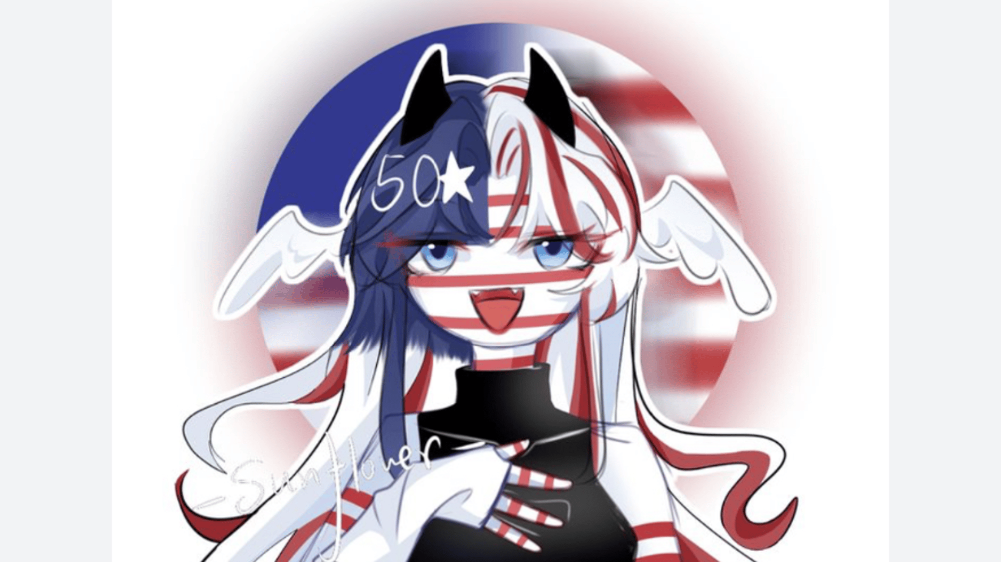 USA countryhuman ( fml)