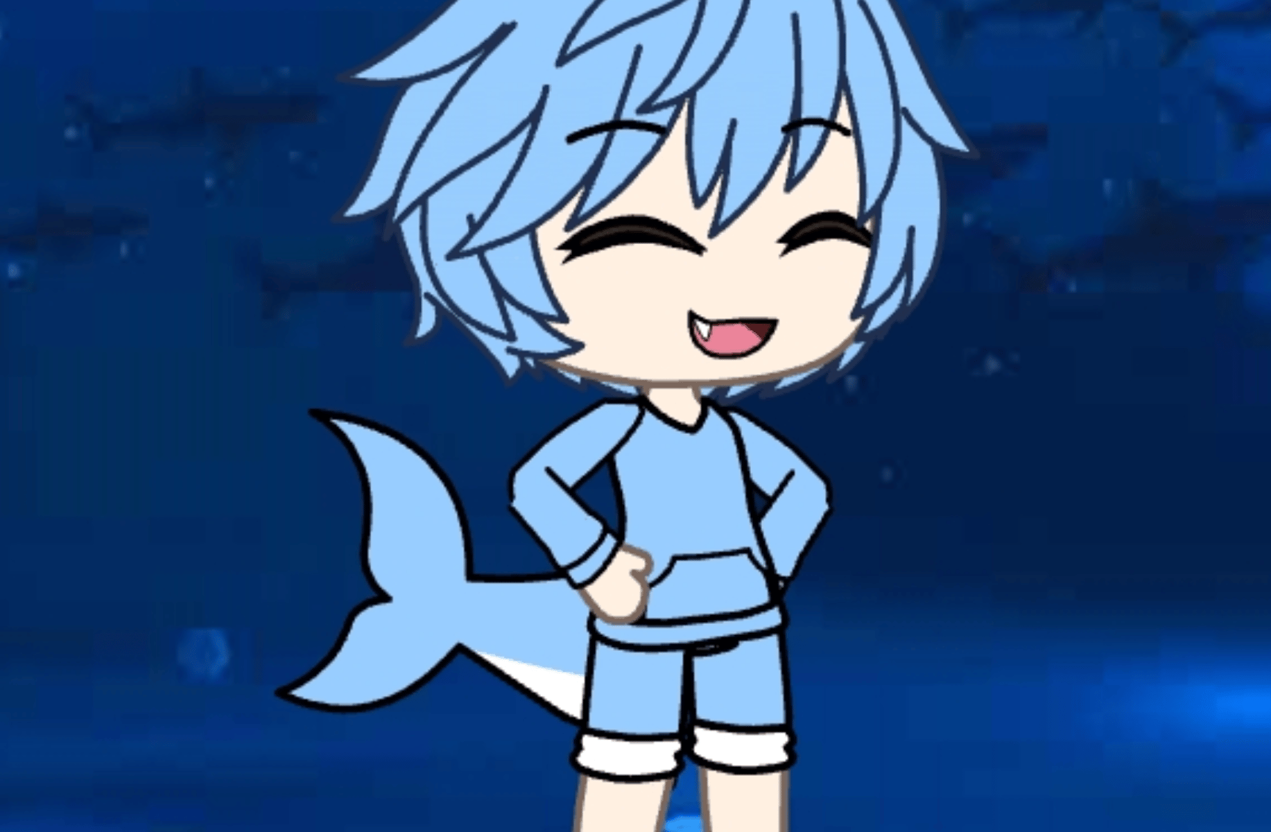 Theo (Tip shark)