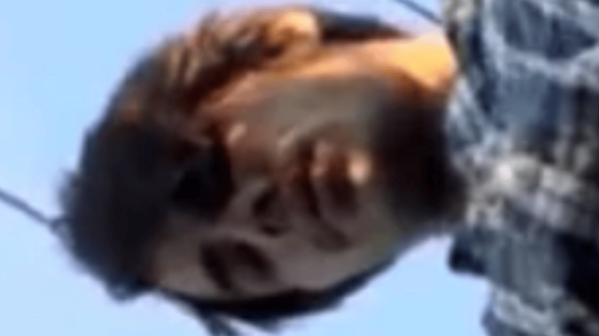 Carlos, your brother