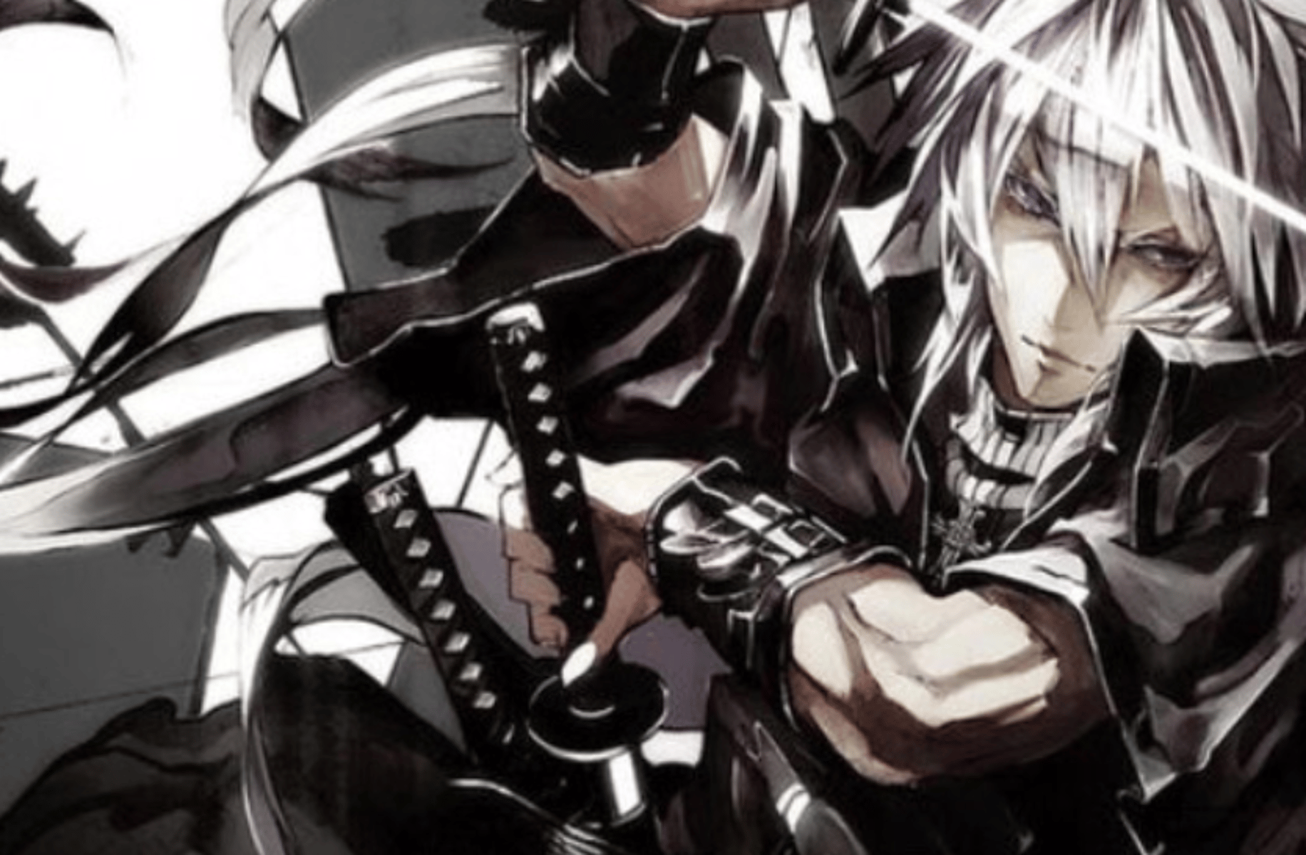 Fight Expert (Joshua)