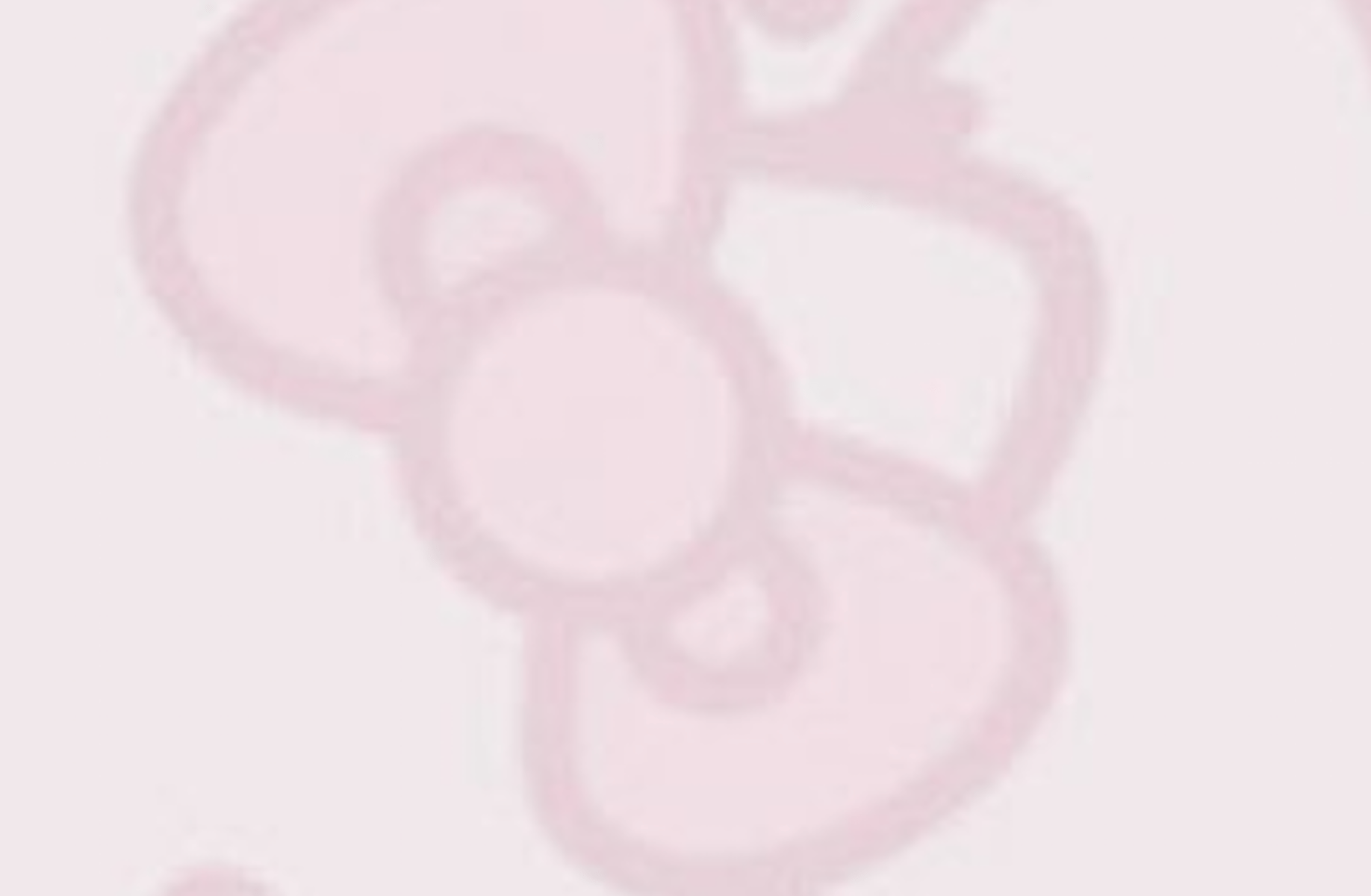 Eve