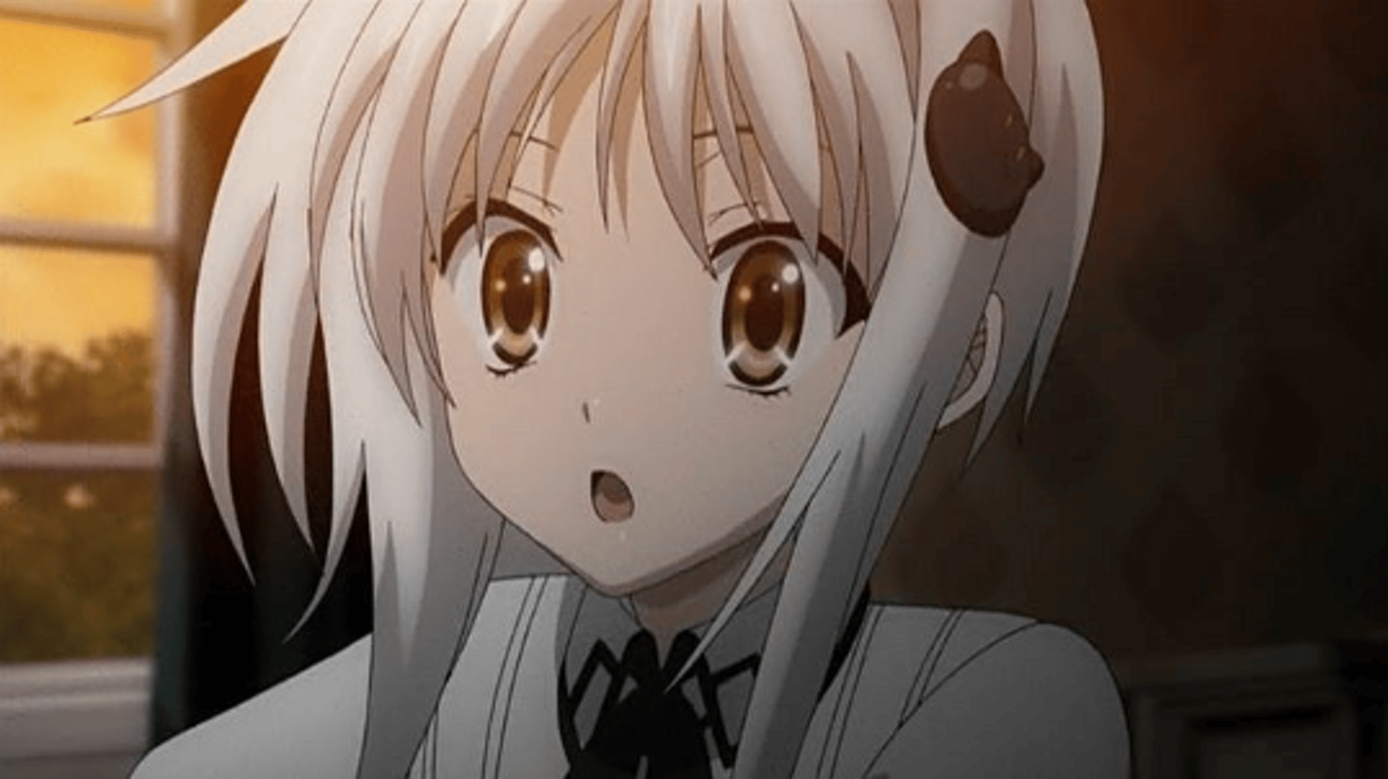 Koneko (H)
