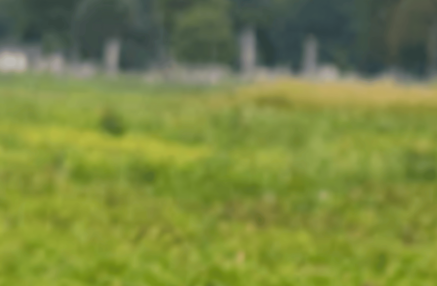 Your creepy farmer father